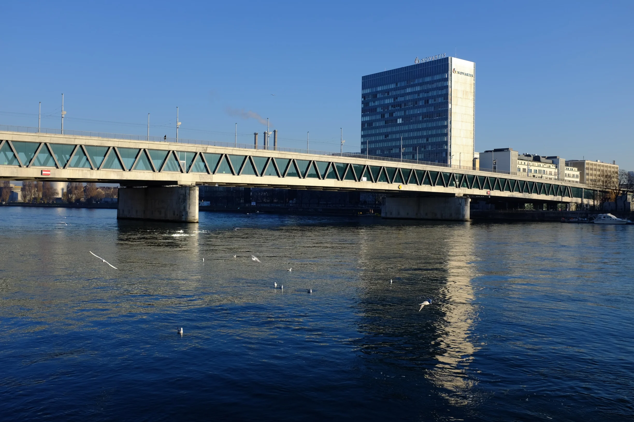 Rhein 1.jpg