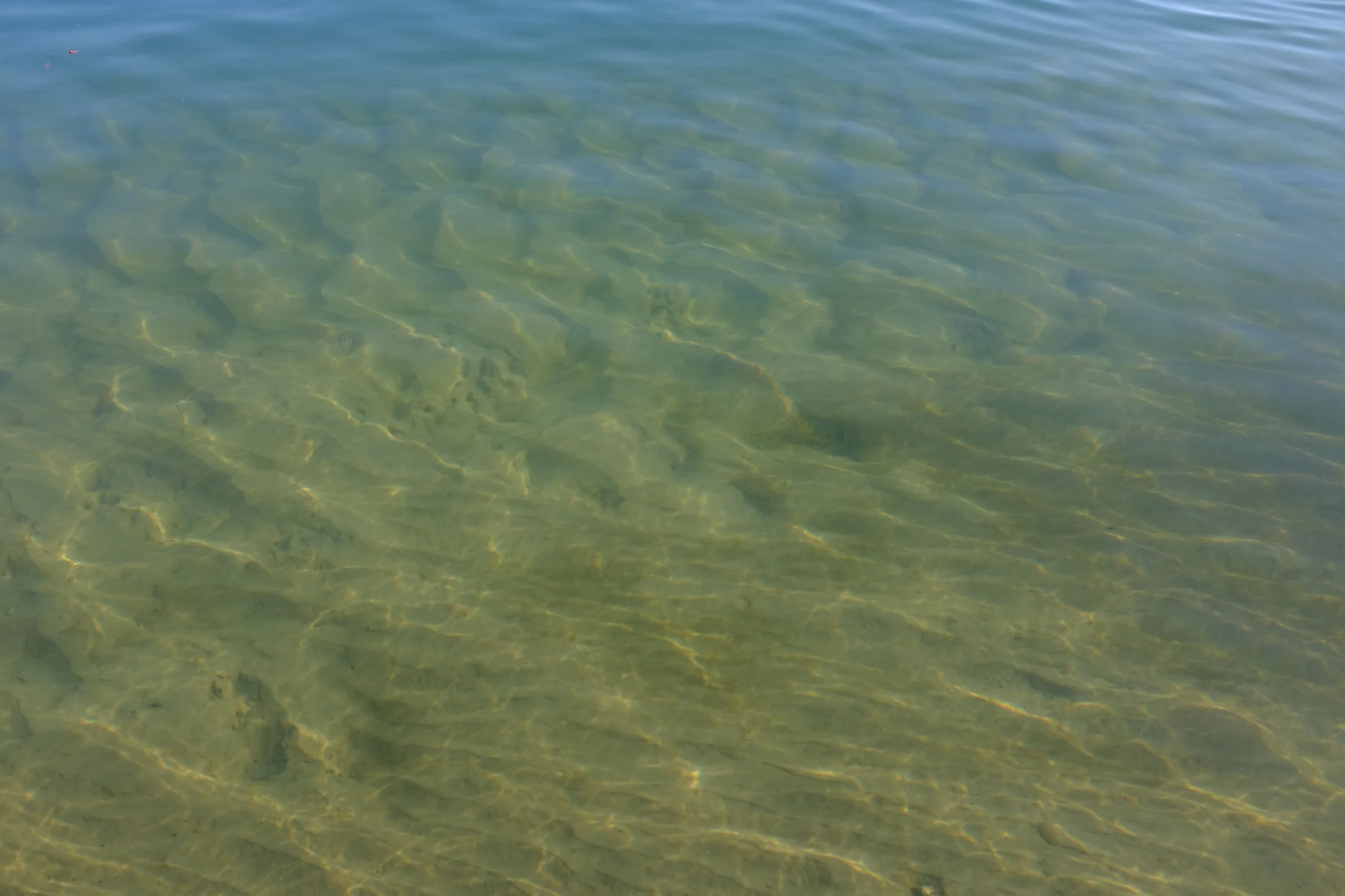 Rhein 8.jpg