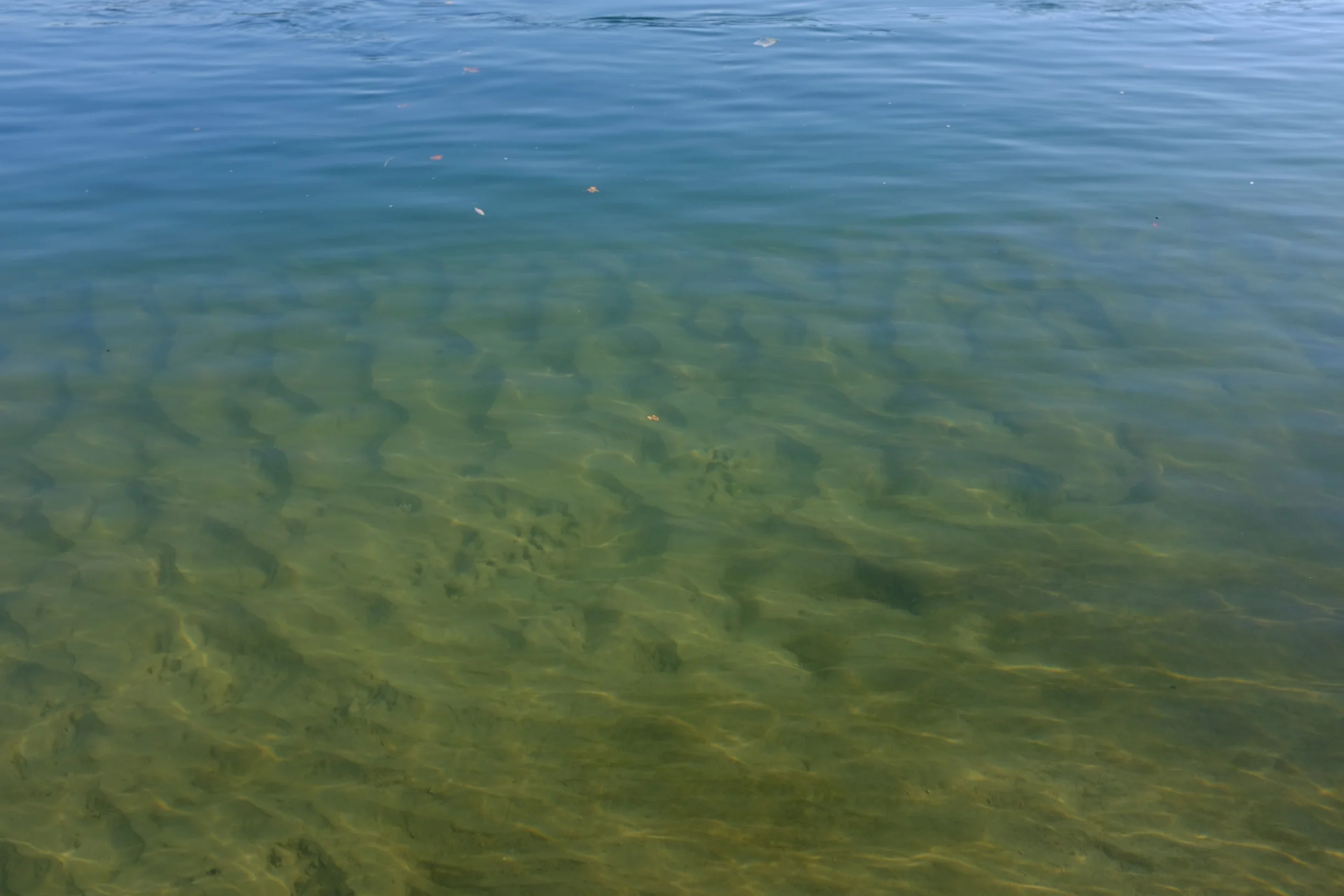 Rhein 9.jpg