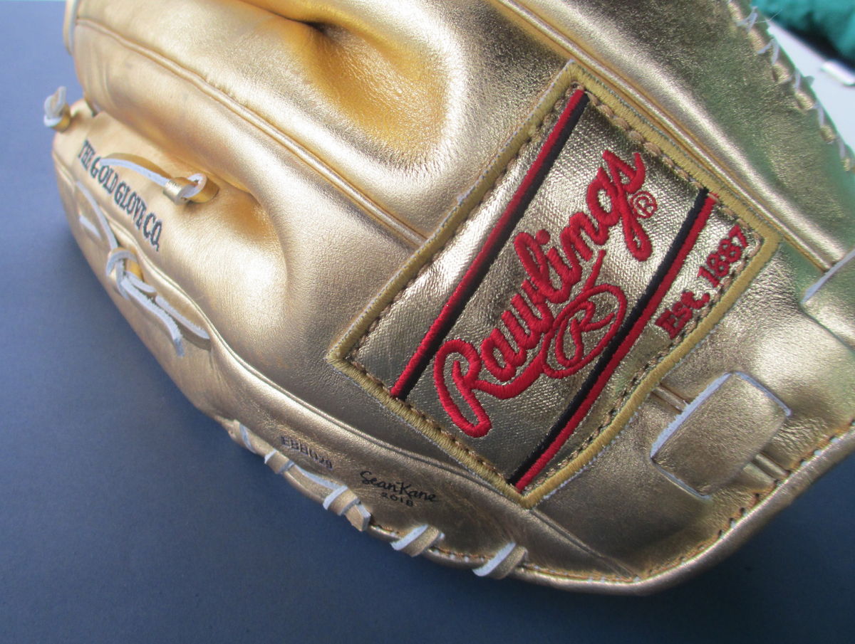 Rawlings-Gold-Glove-Painting-by-Sean-Kane.jpg