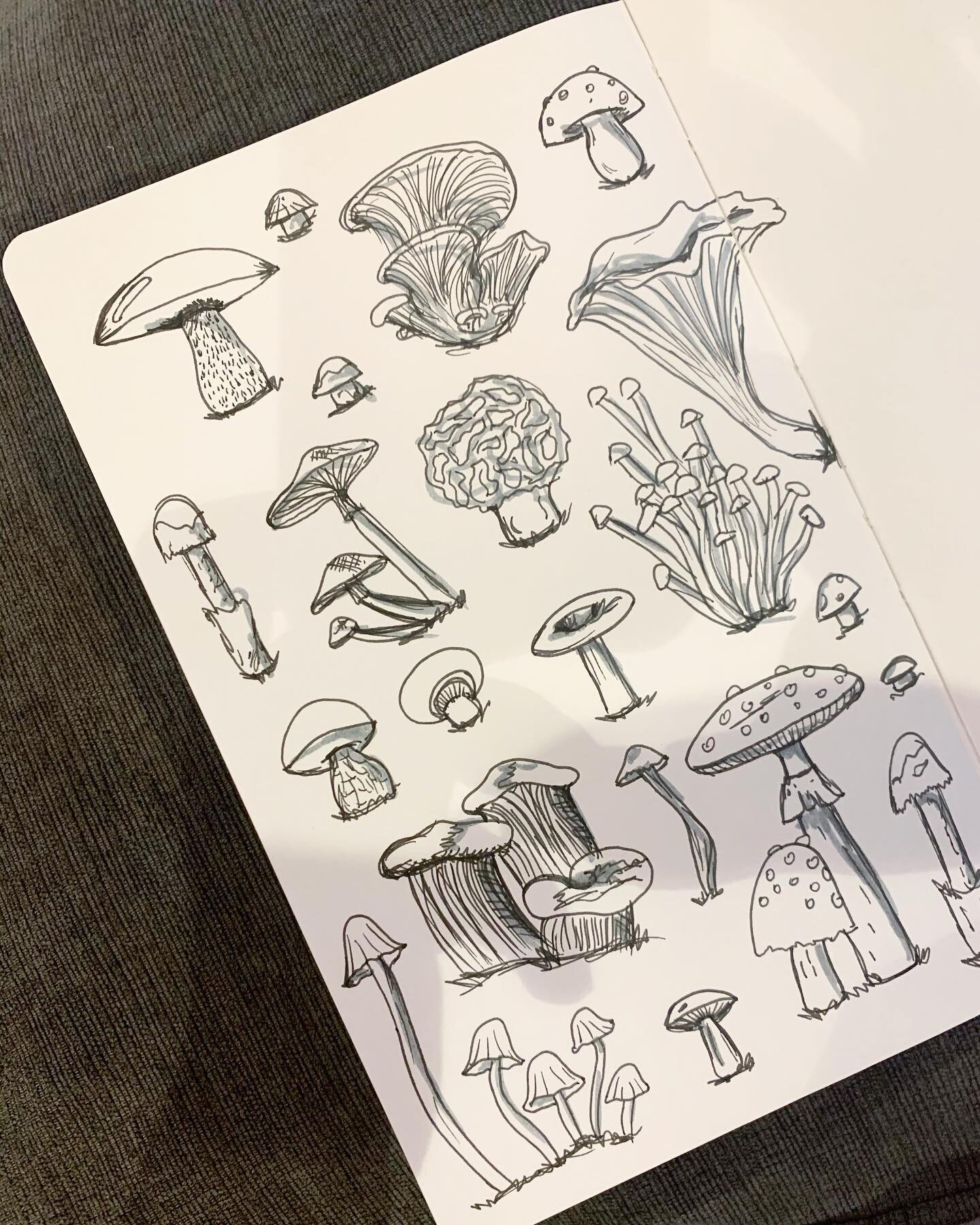 Anyone else thinking about buying a mushroom growing kit? 

#sketch #sketching #sketchbook #mushrooms #mushroomsofinstagram #mushroomart #mushroom #fabercastell #inkdrawing #ink #design #madebylpoole #denik @shopdenik