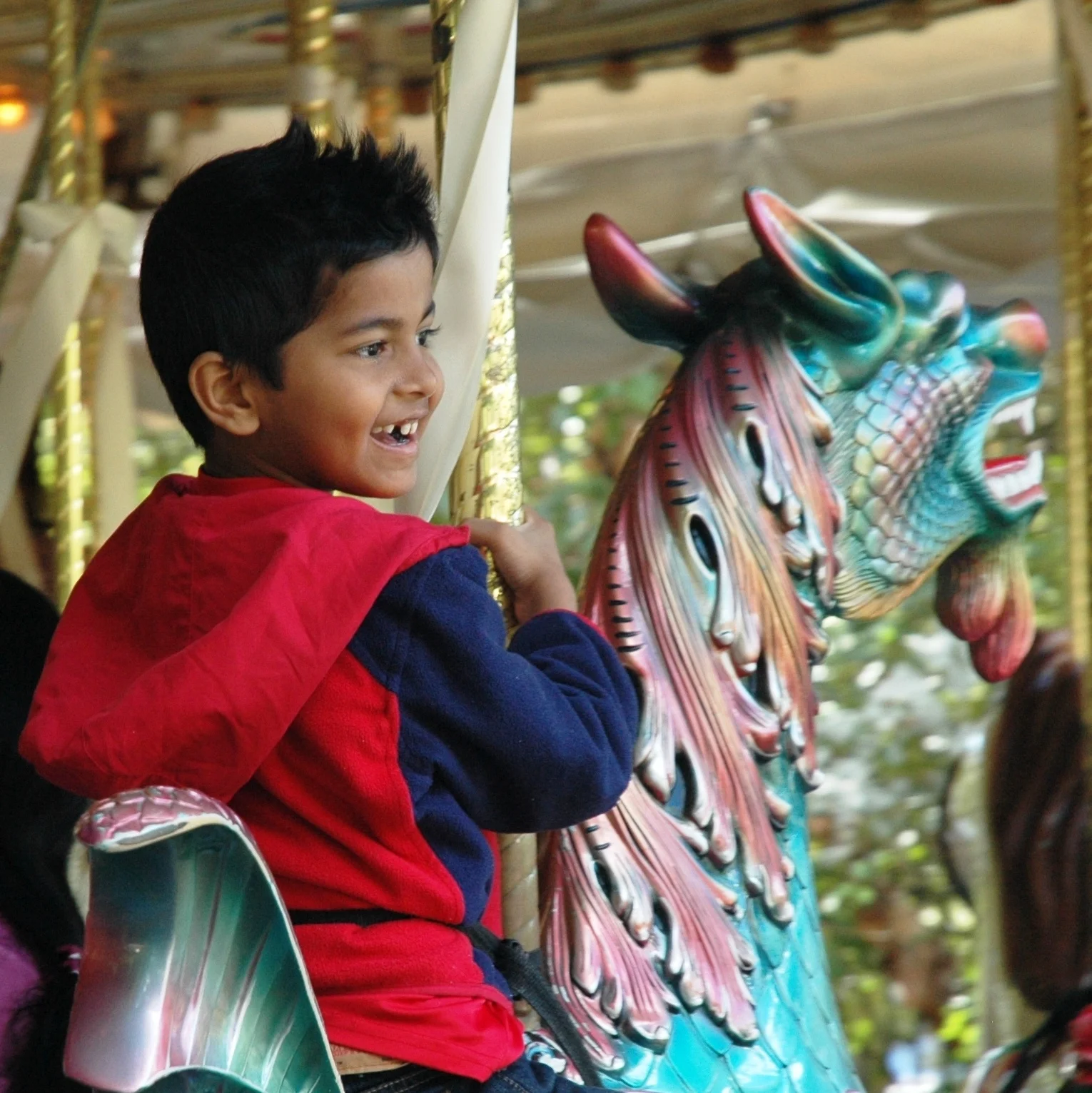 This is a Garden carousel. It has a rabbit, a rooster, a pig, a cat, a shark and even a hummingbird! Children love to ride on the sea dragon. Of course there are several horses decorated with beautiful flowers and a bright red chariot.