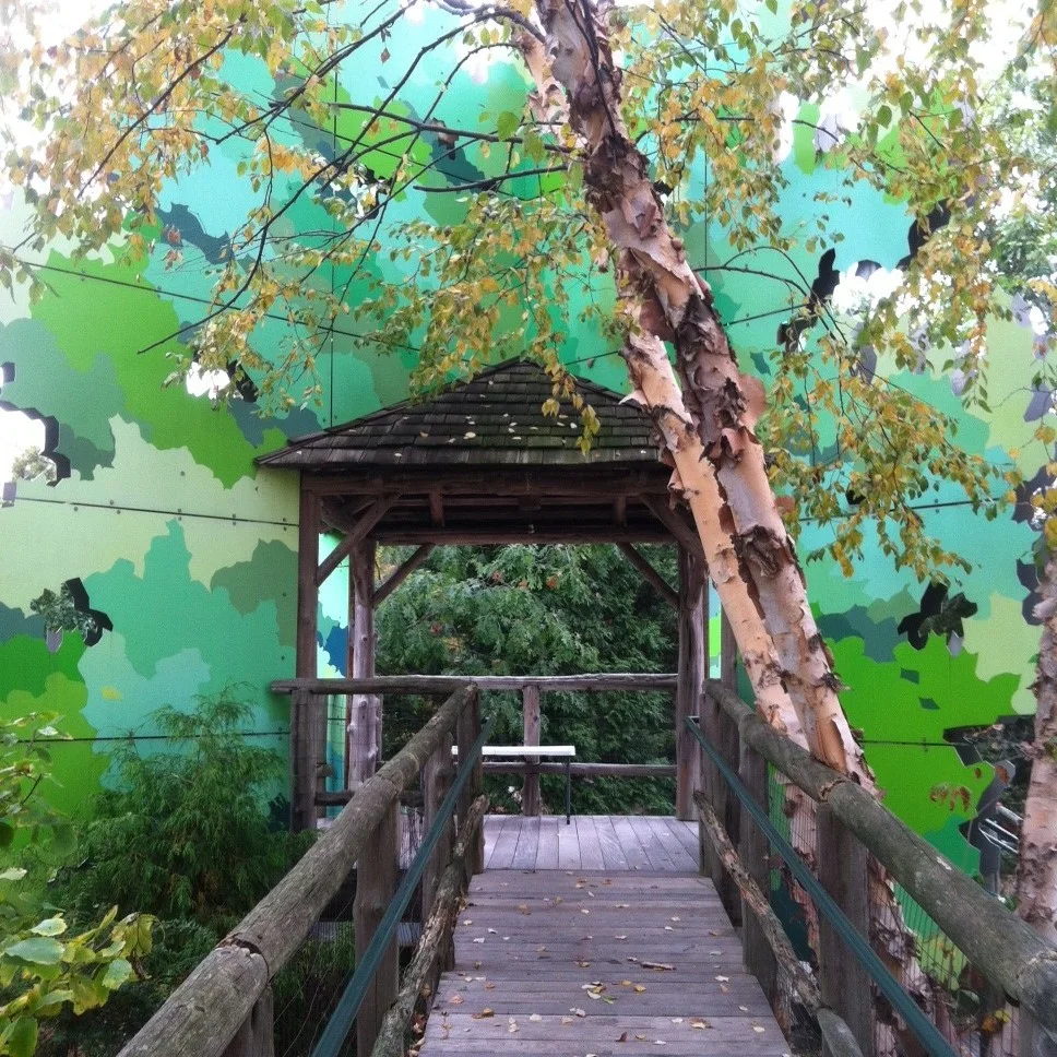 You can climb the steps or walk up the ramp to enter the Tree House for a bird's eye view of the entire Garden. You might be able to spot butterflies, hawks, and migratory birds. It overlooks the Red Oak Run and the Peace Plaza.