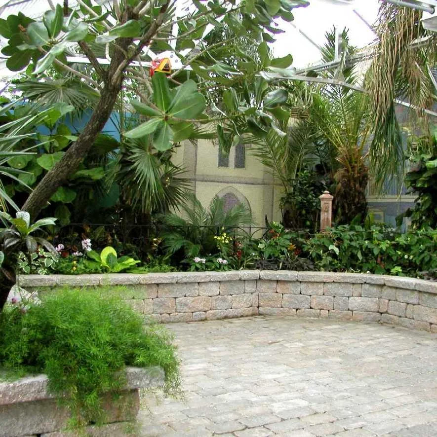 Don’t miss the exciting Plaza de Aibonito, Puerto Rico tropical exhibit. You will find it past Ginkgo’s Gift Shop. This exhibit looks like the plaza in Aibonito, a beautiful town in Puerto Rico known as the “City of Flowers”. This special exhibit is…