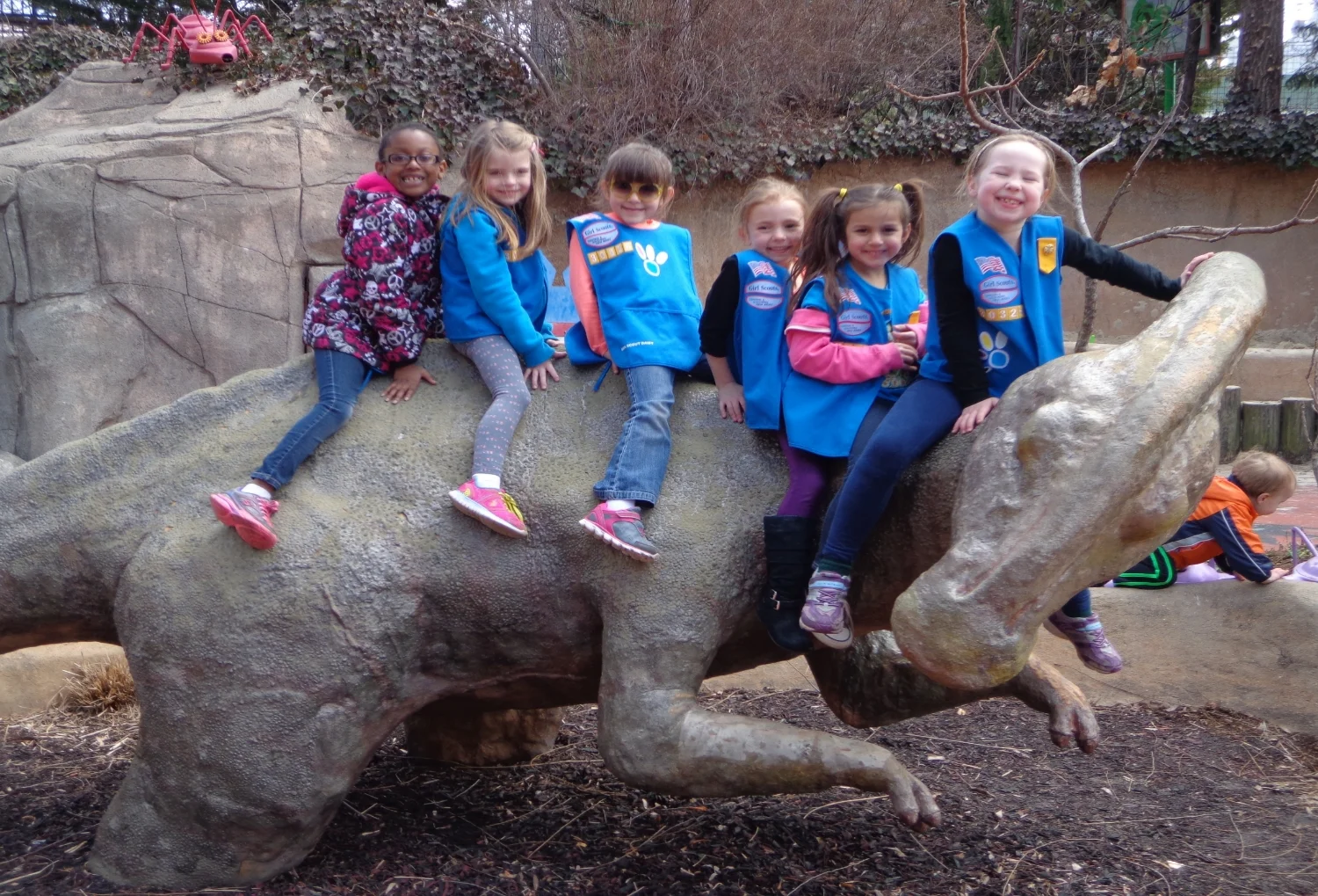 Girl Scouts - for ed page.jpg