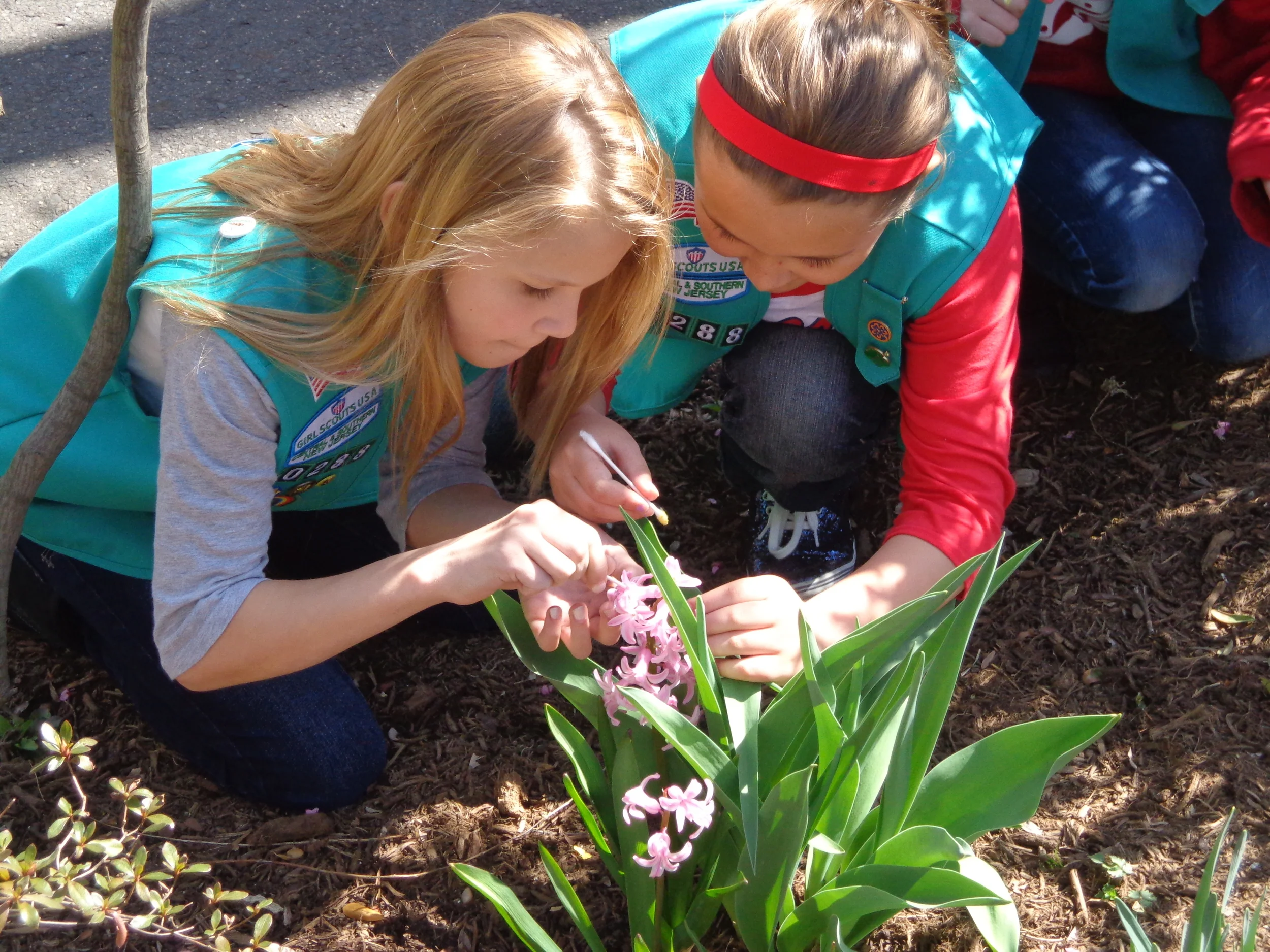 Girl Scouts binoculars.jpg