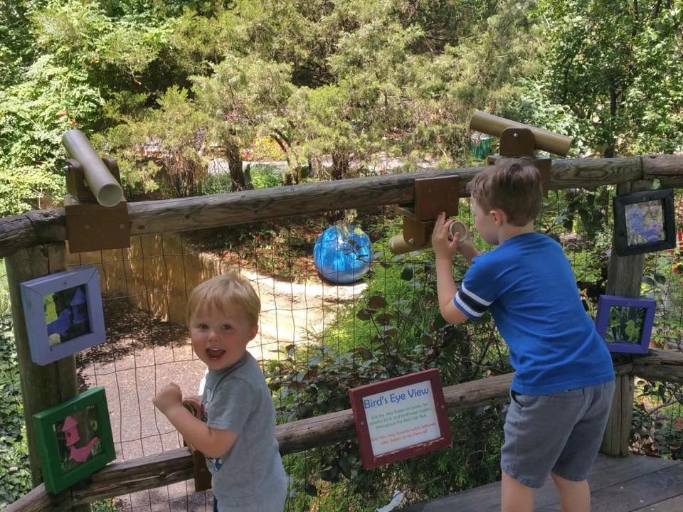 Chocolate & Vanilla Celebration