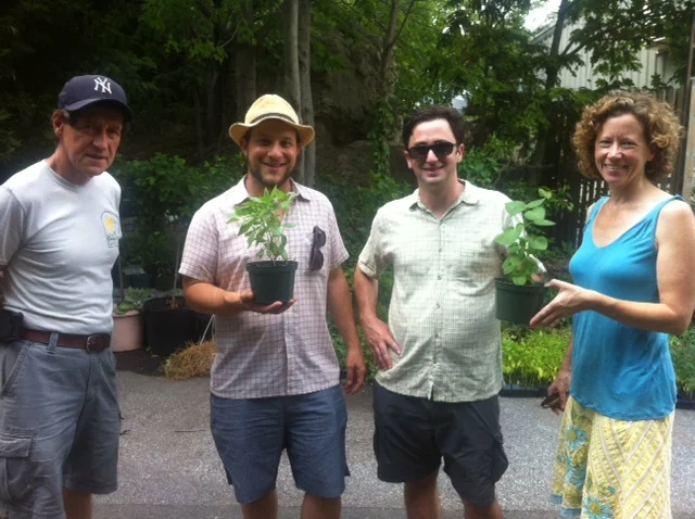 Camden City Garden Club Monthly Meeting 