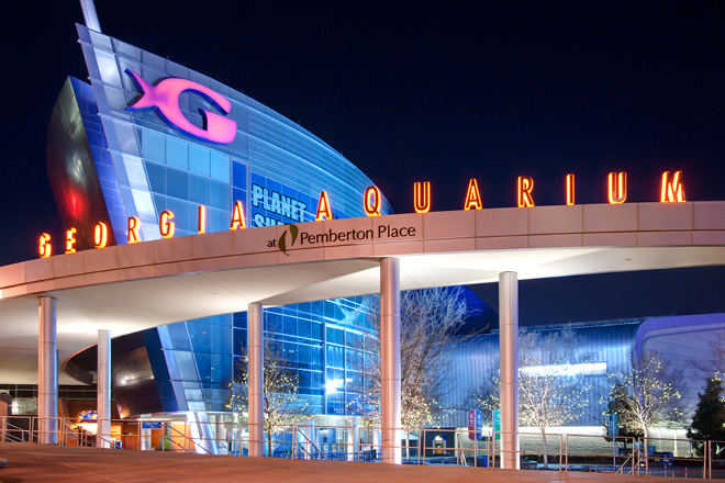 Georgia Aquarium Dive Georgia works closely with the Georgia Aquarium from protecting our environment to diving the largest salt water aquarium in the world! Due to such a partnership we also have some amazing discounts for you! Click the image or link below for Georgia Aquarium promotions for Dive Georgia Friends! Let's Look At Some Fish →