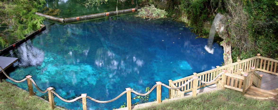 Florida Springs - Blue Grotto and Devil's Den