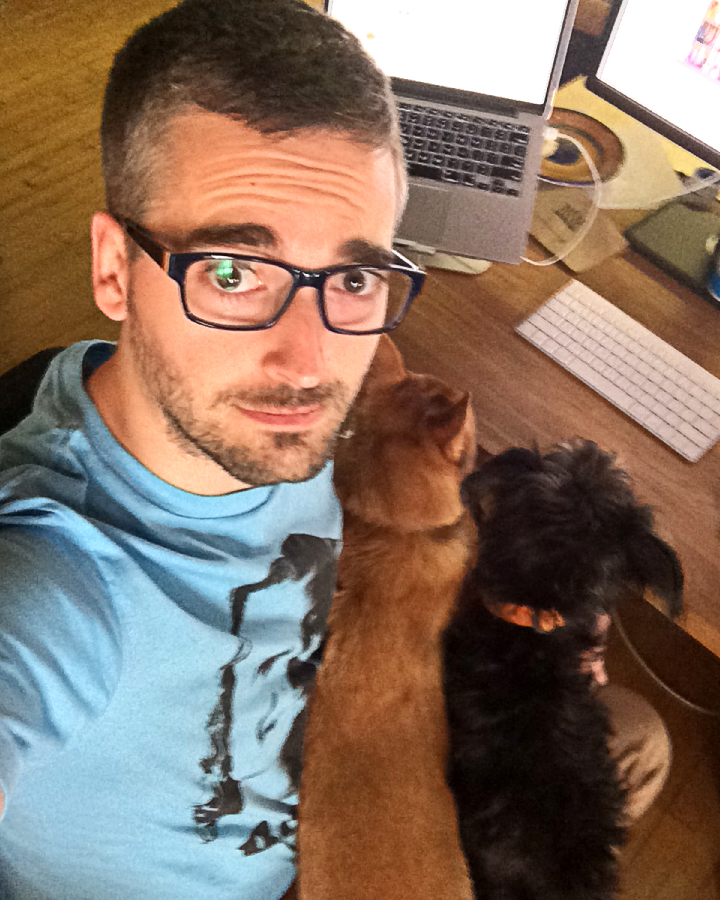 Andrew Webb, Software Engineer