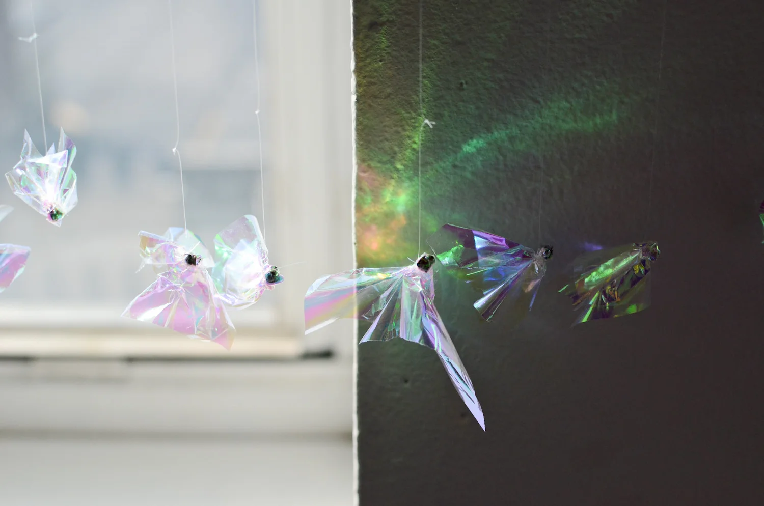 Wind Experiment