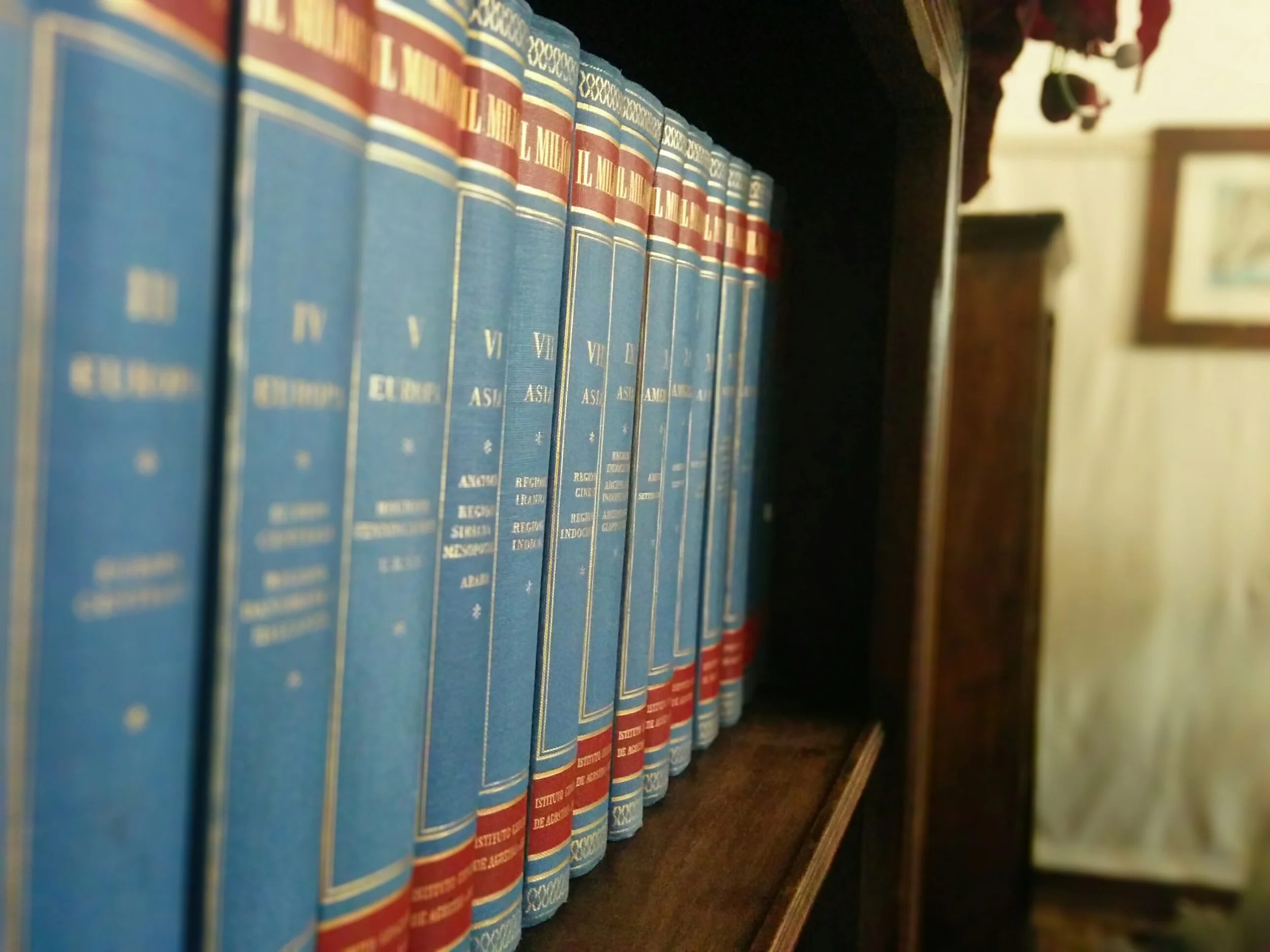 casa masoli books.jpg