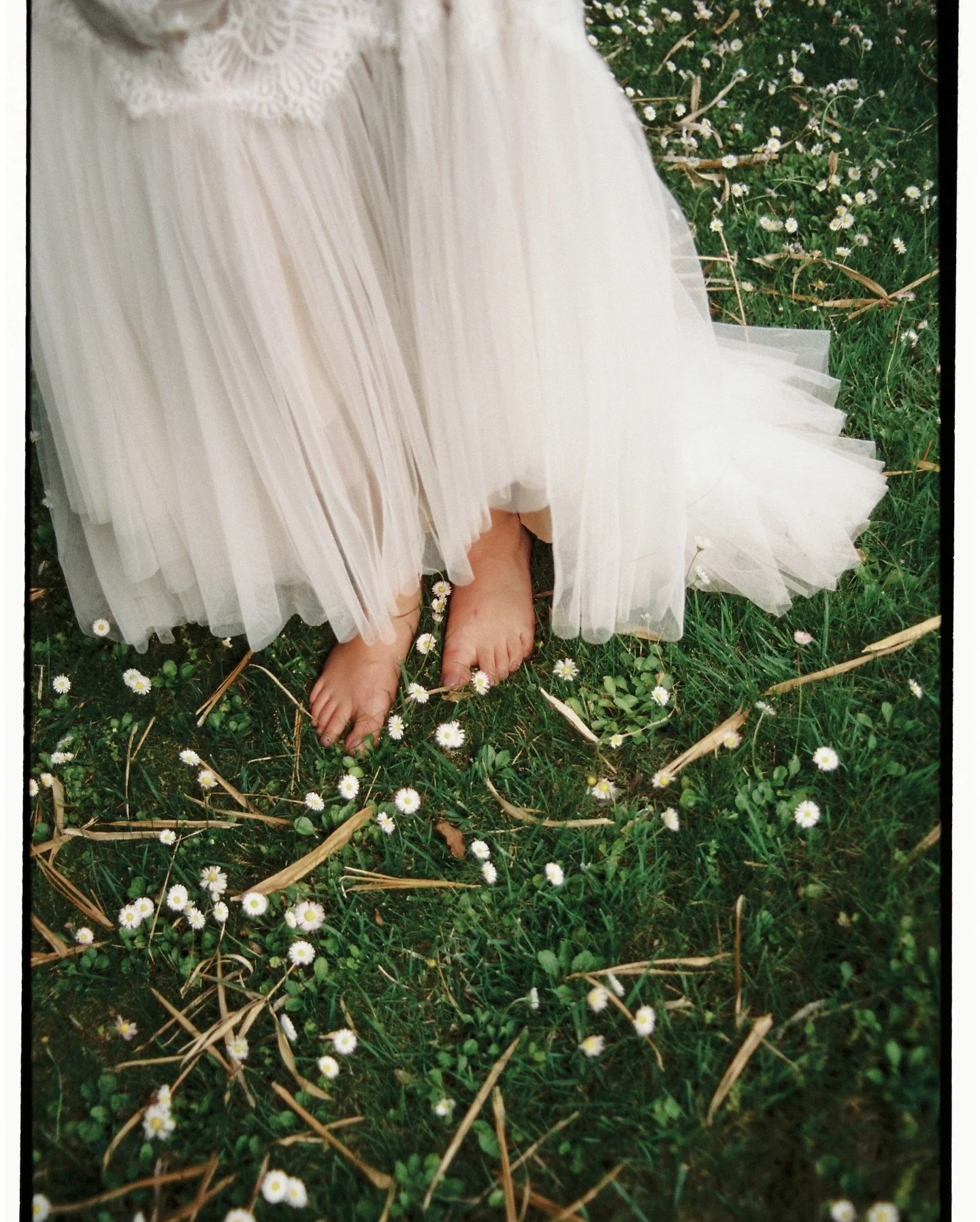 Sometimes all you really need is toes dipped in a sea of daisies and to proclaim your I dos, all but barefoot. 

All I want is to meet people in love and document it all. ❤️&zwj;🔥