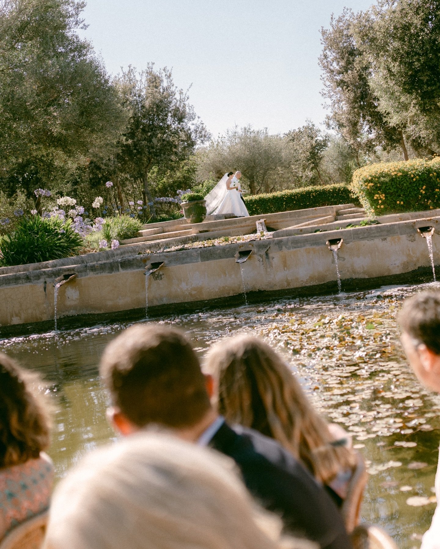 They were small in the frame.
Almost easy to miss.
A father walking with his daughter,
toward a moment that would change its shape the second it arrived.
A father. A daughter. And all the love to be held witness.
A few steps that hold an entire lifet