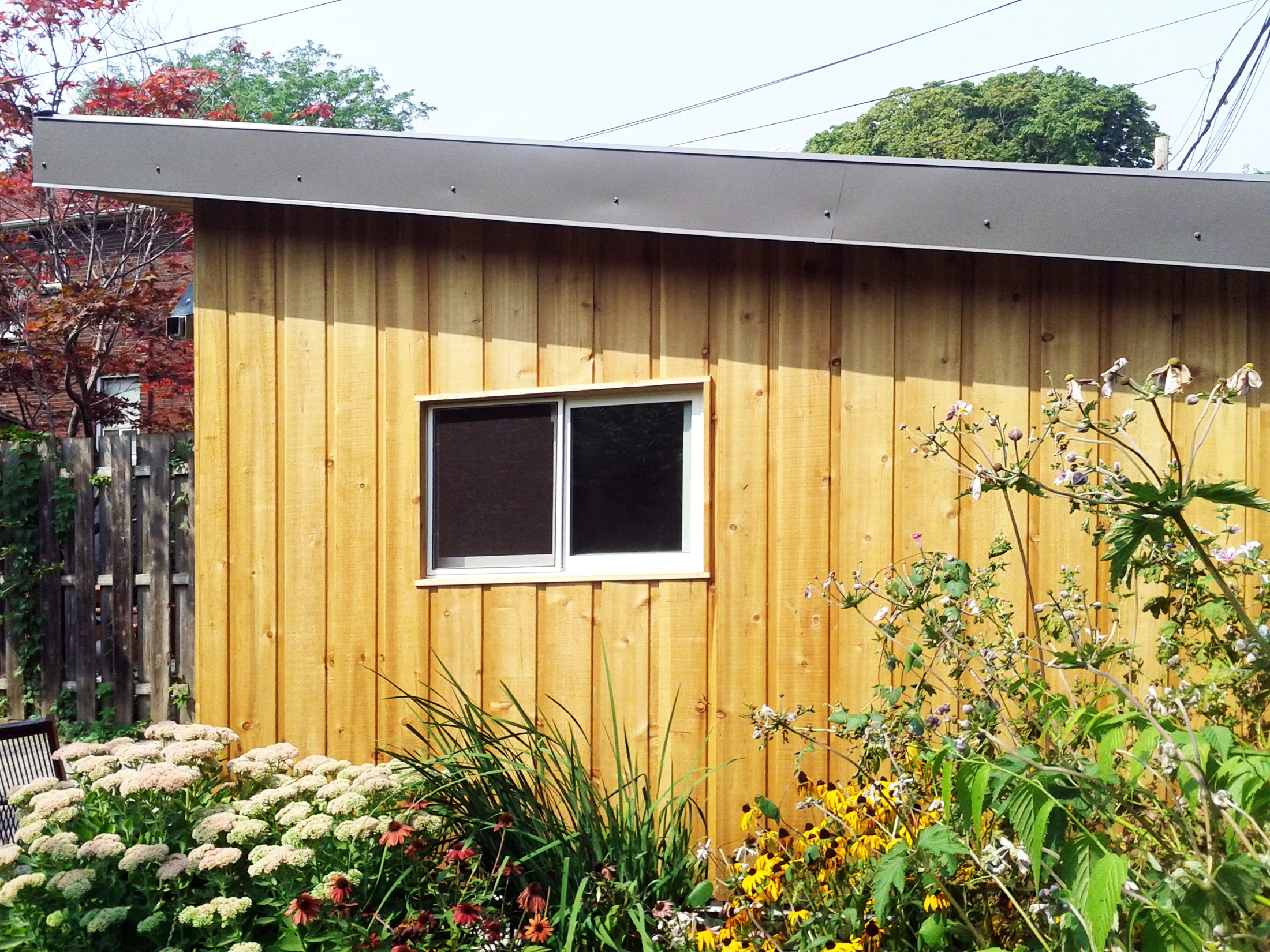 SHED_05.jpg