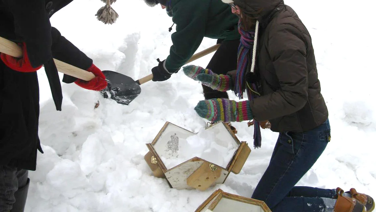 Snowdecahedrons - DeCordova