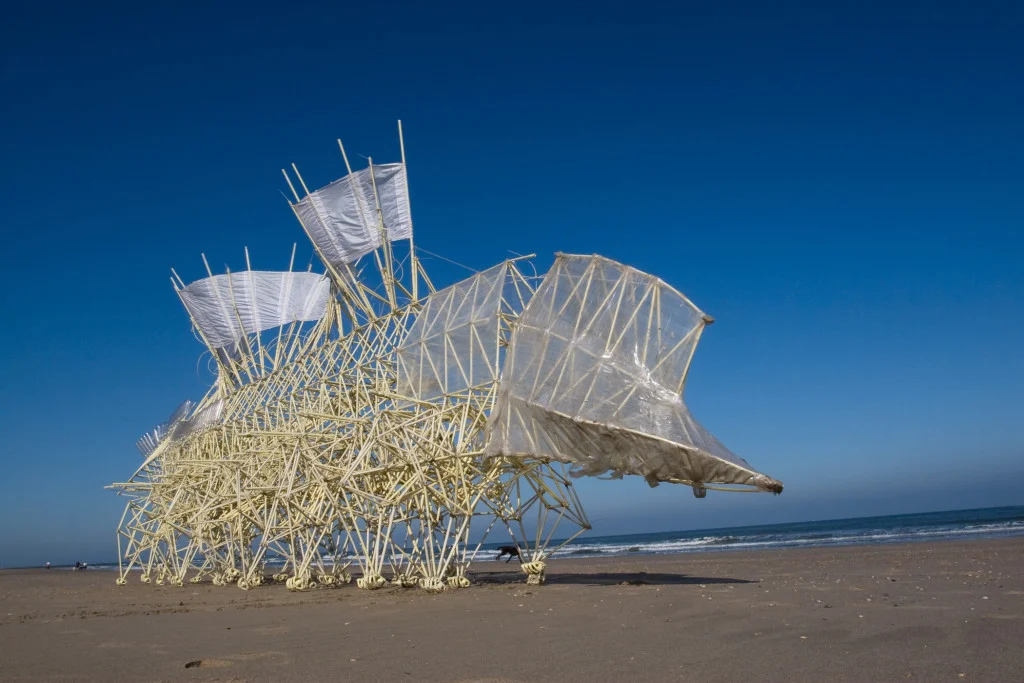 loek_van_der_klis_umerus_silent_beach-2-1024x683