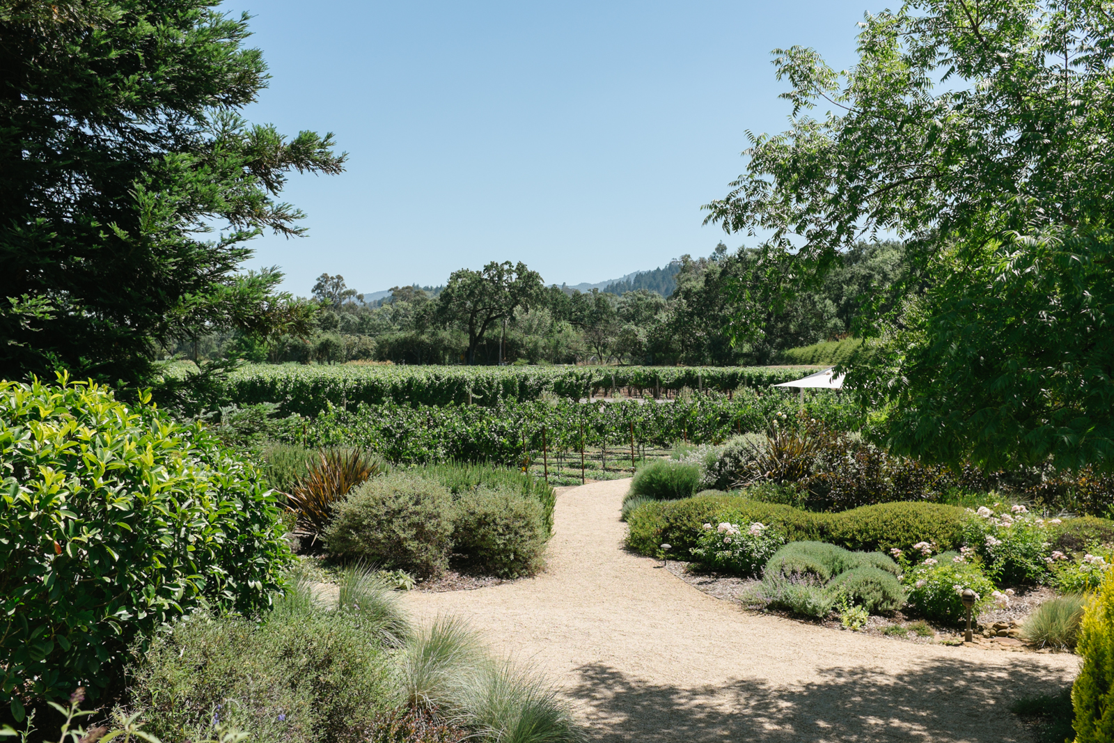 DSCF1739.jpg