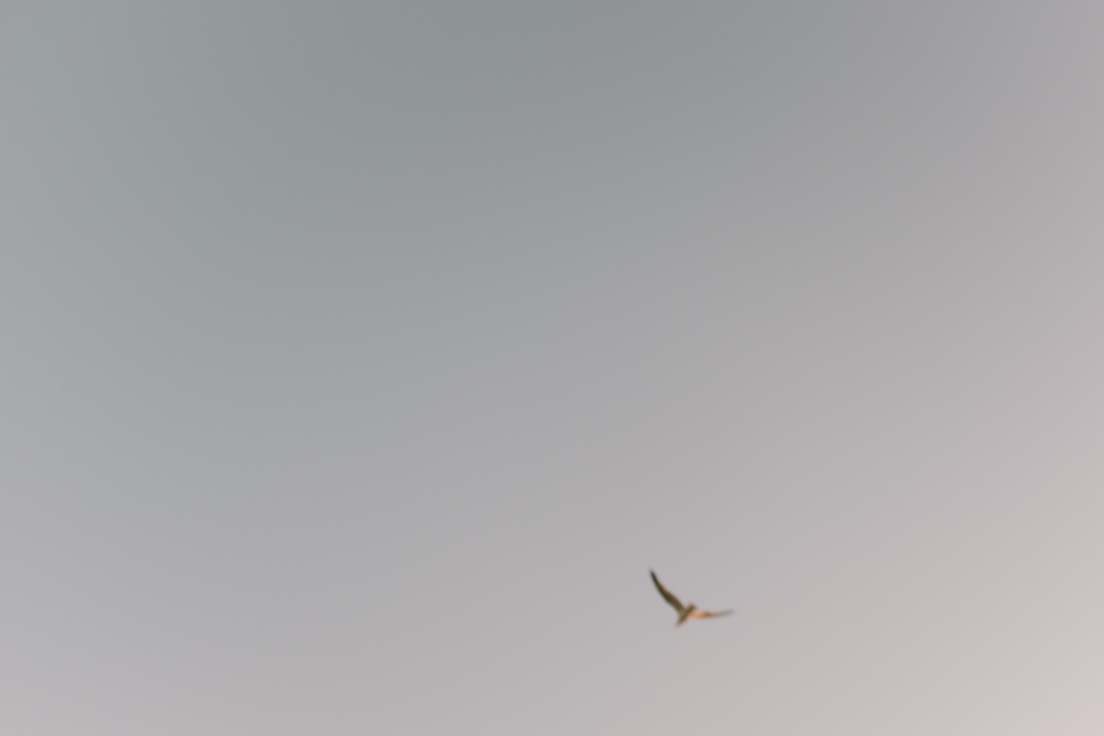 20130414-DSCF0846.jpg