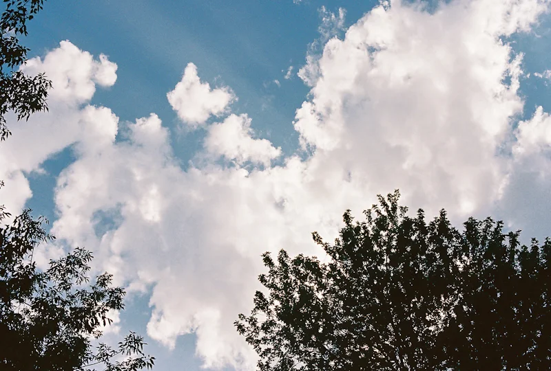 20120904-R1-01303-008A.jpg