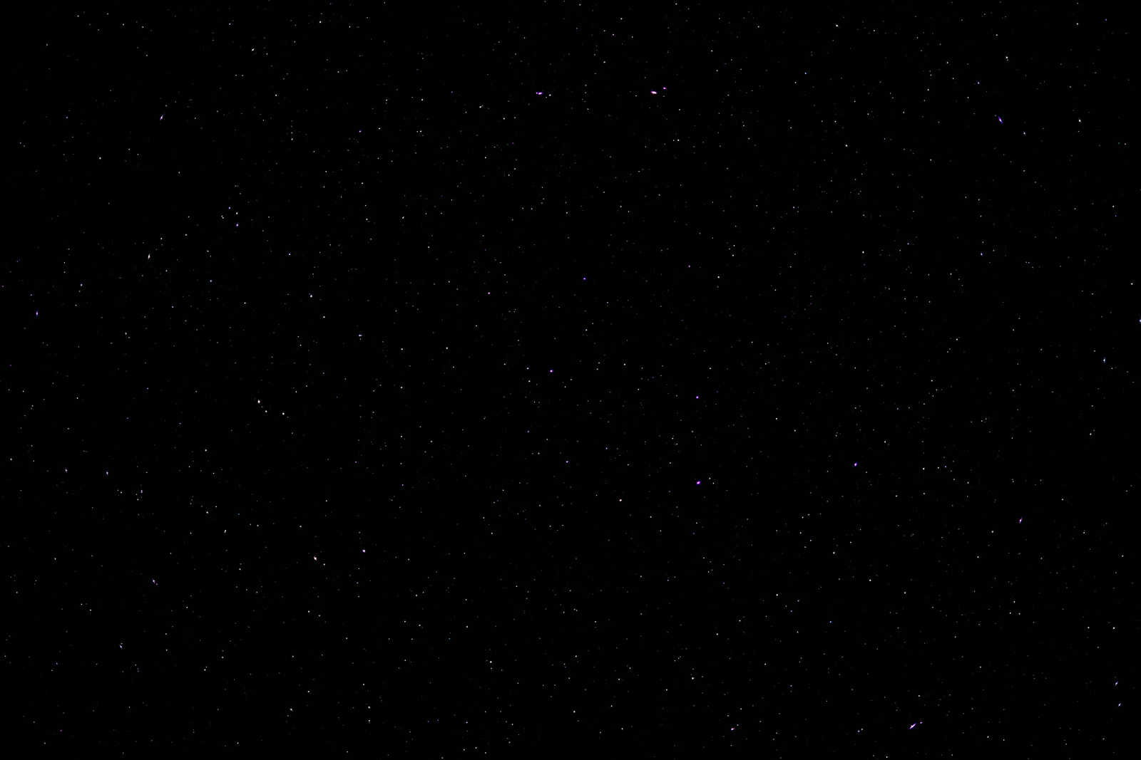 DSCF0421.jpg