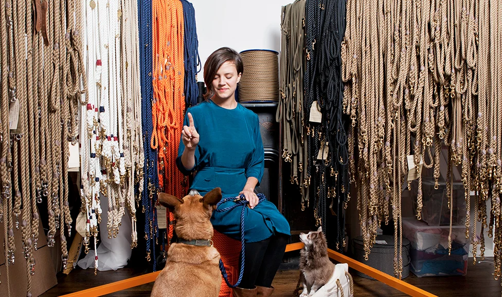 Found My Animal - leashes and pet carrier