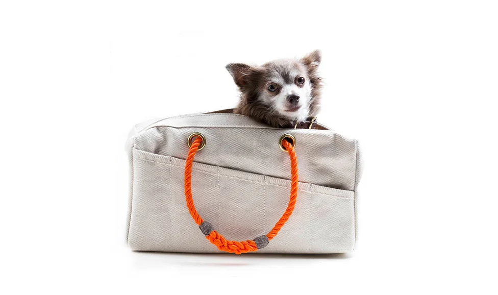 Found My Animal pet carrier