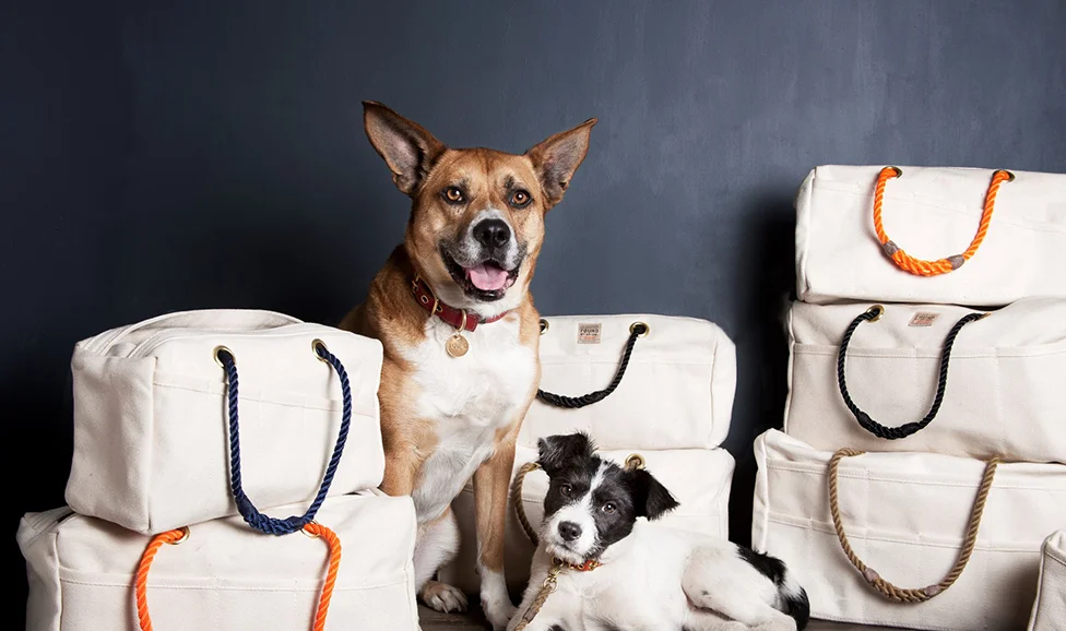 Found My Animal pet carriers