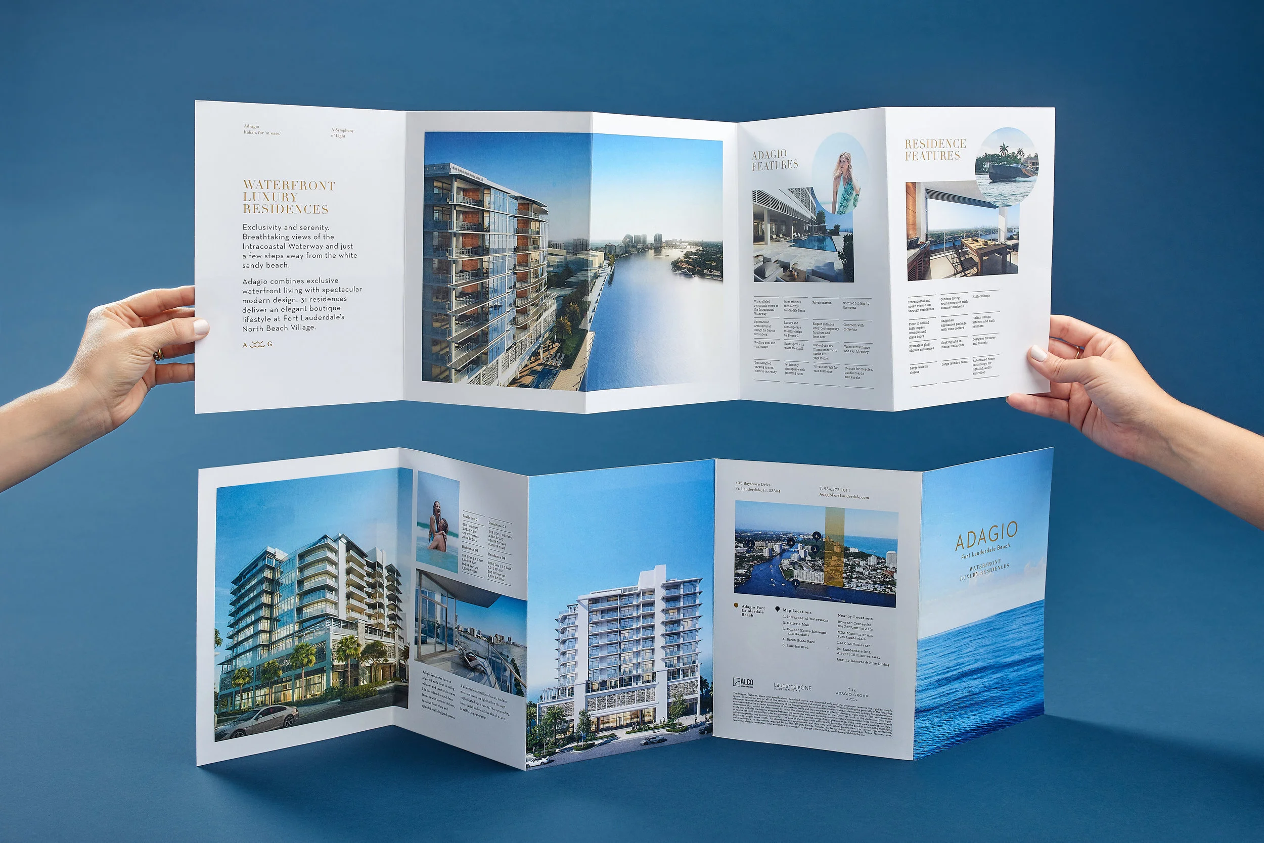 Promotional Flyer