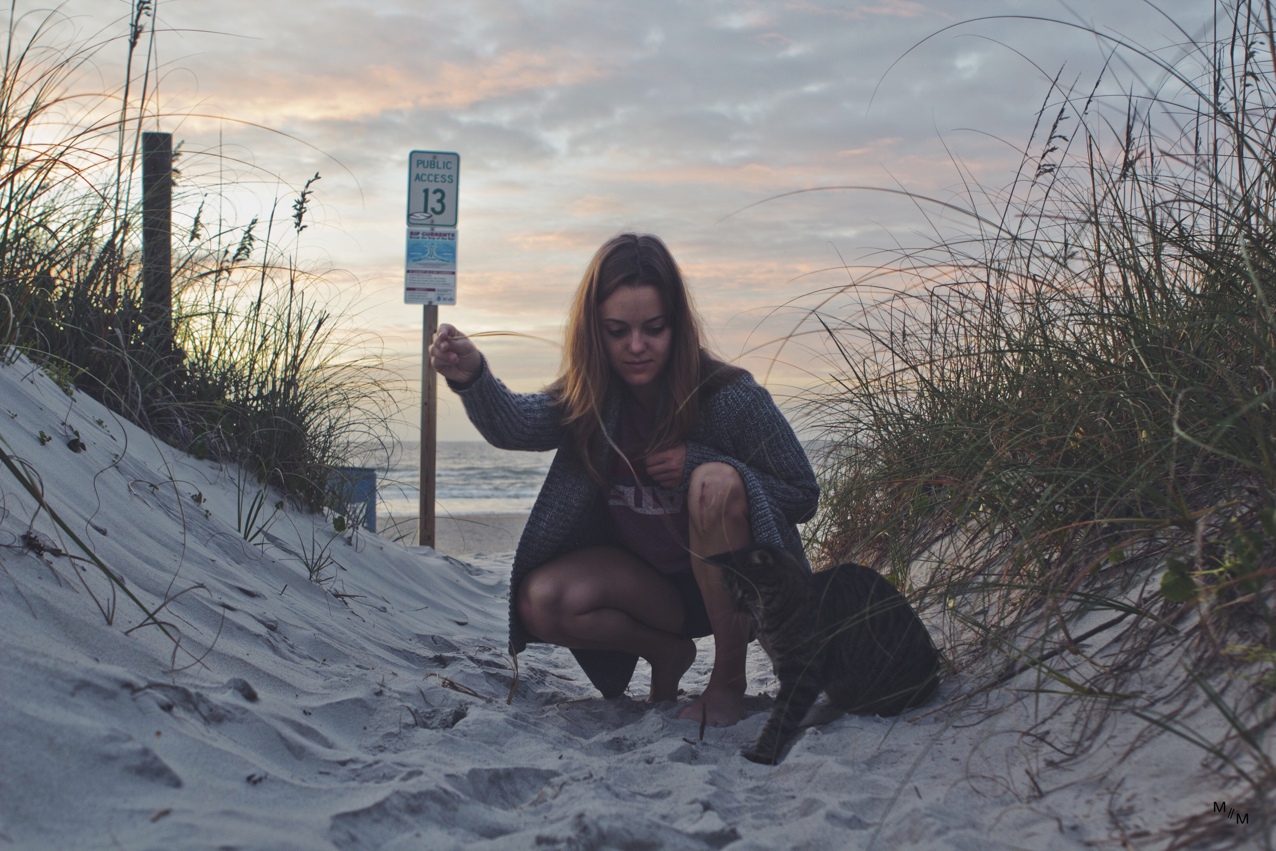 Sunrise babe and a dunecat