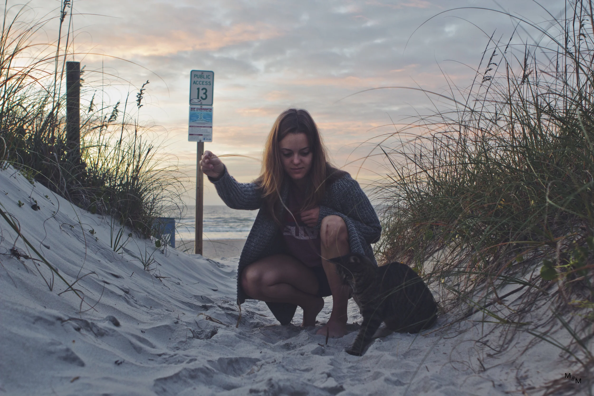 Sunrise babe and a dunecat