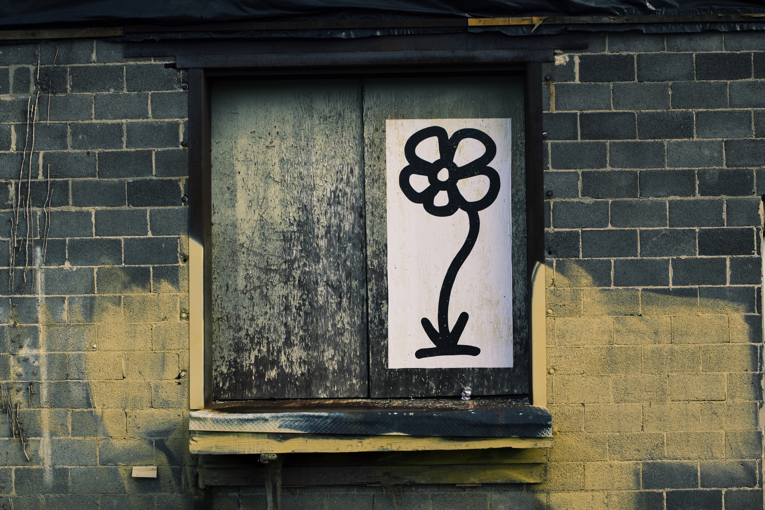 Bloom on Durham Bookcases building //&nbsp;Warehouse District