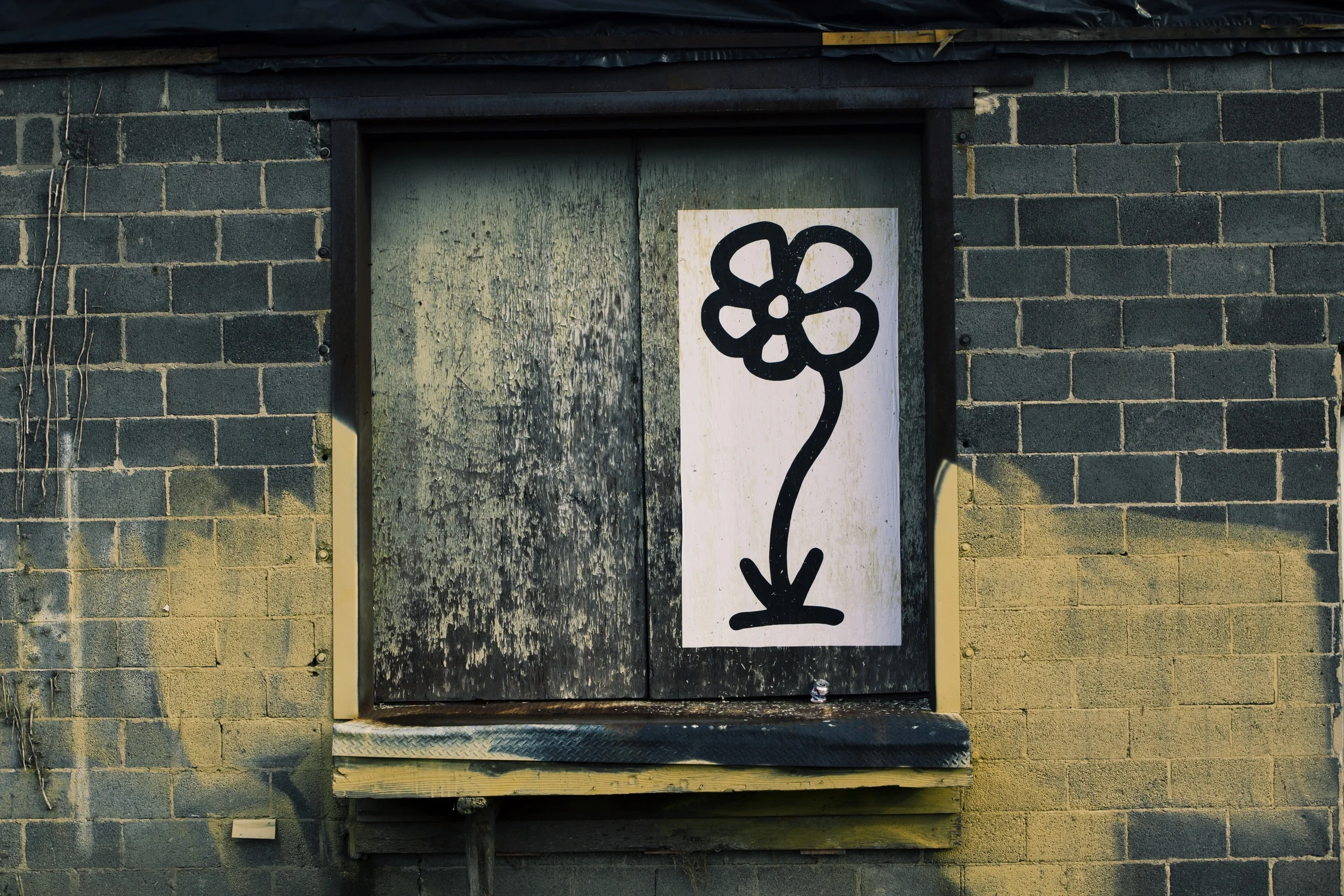 Bloom on Durham Bookcases building // Warehouse District
