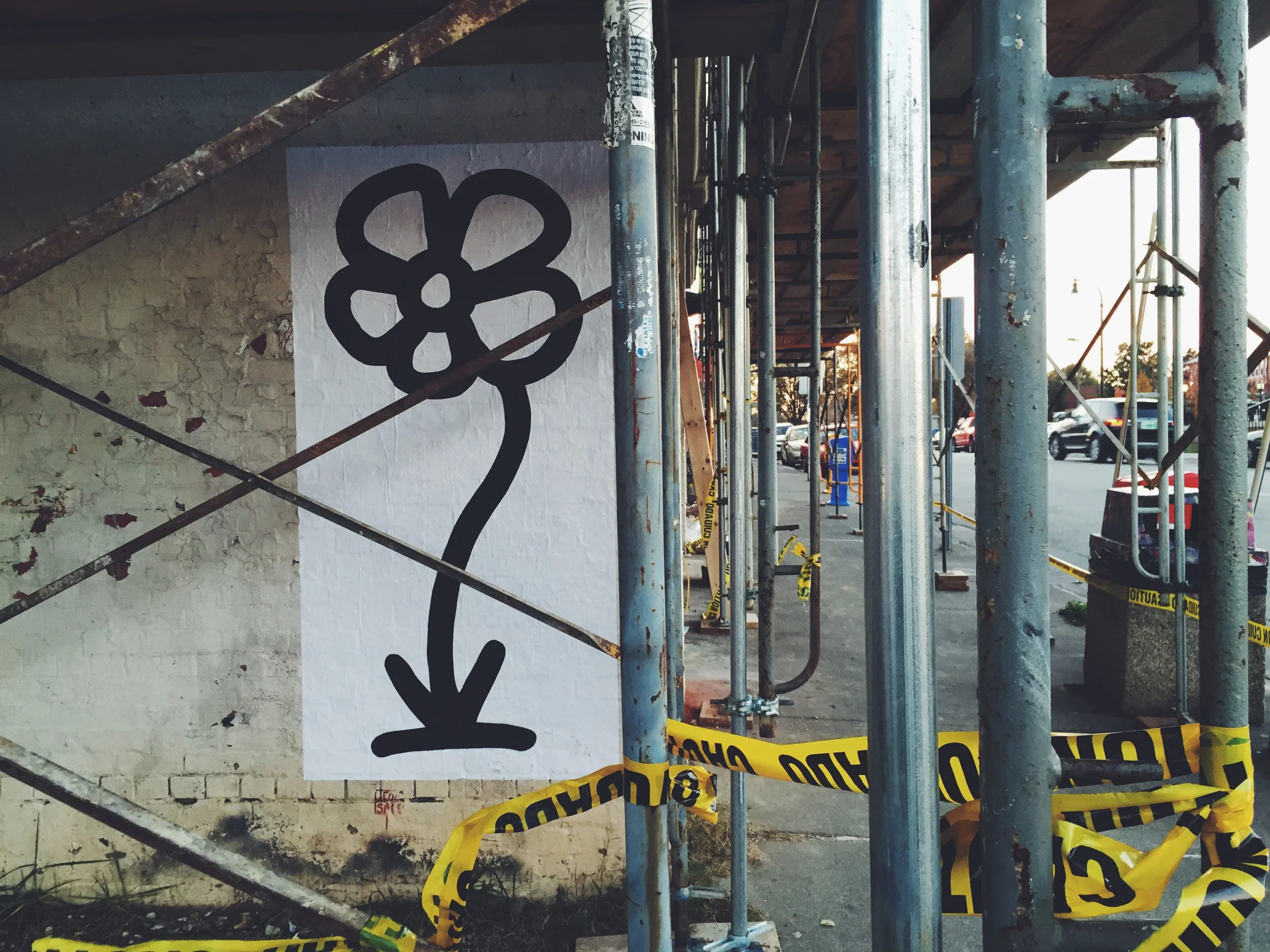 Bloom behind 9th street renovations // Old West Durham