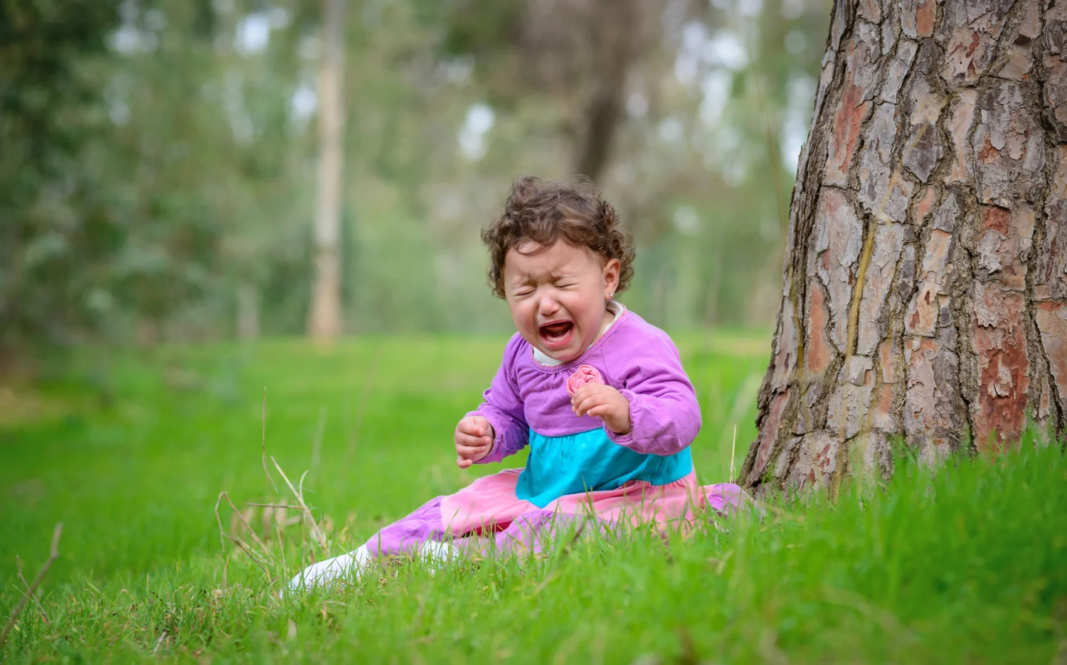צילום ילדים ומשפחות (14).jpg