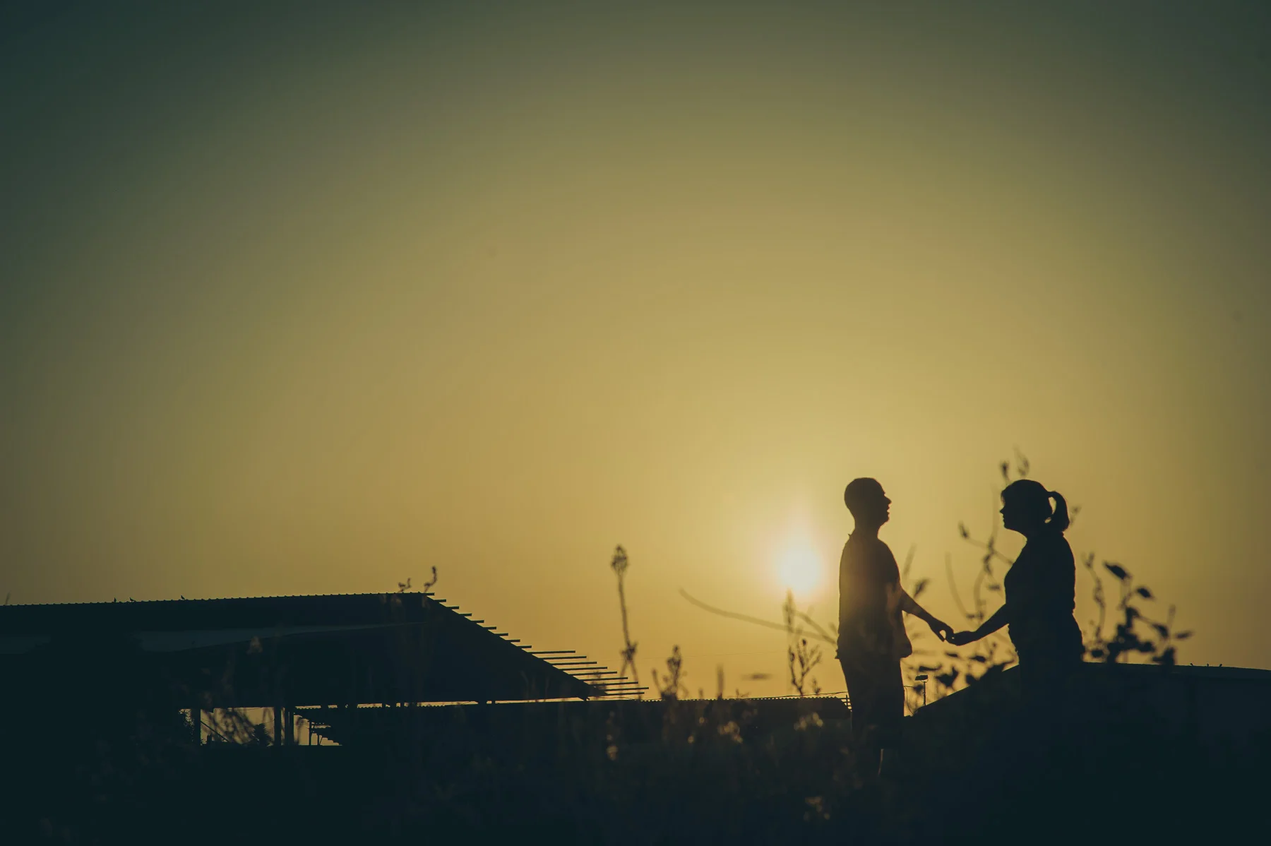 שעת הזהב לצילום זוגי&nbsp;