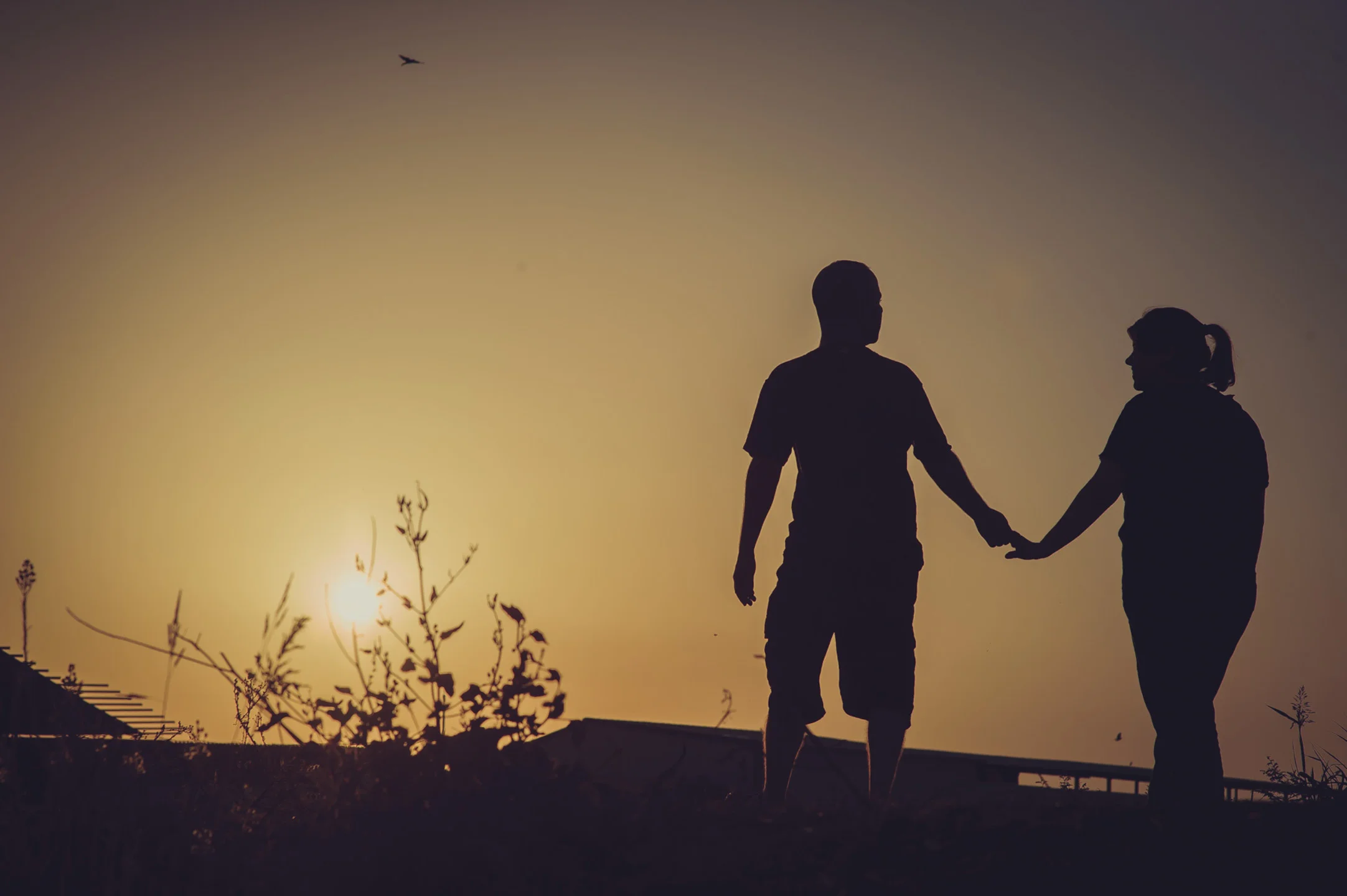 צילום זוגי רומנטי 0009.jpg