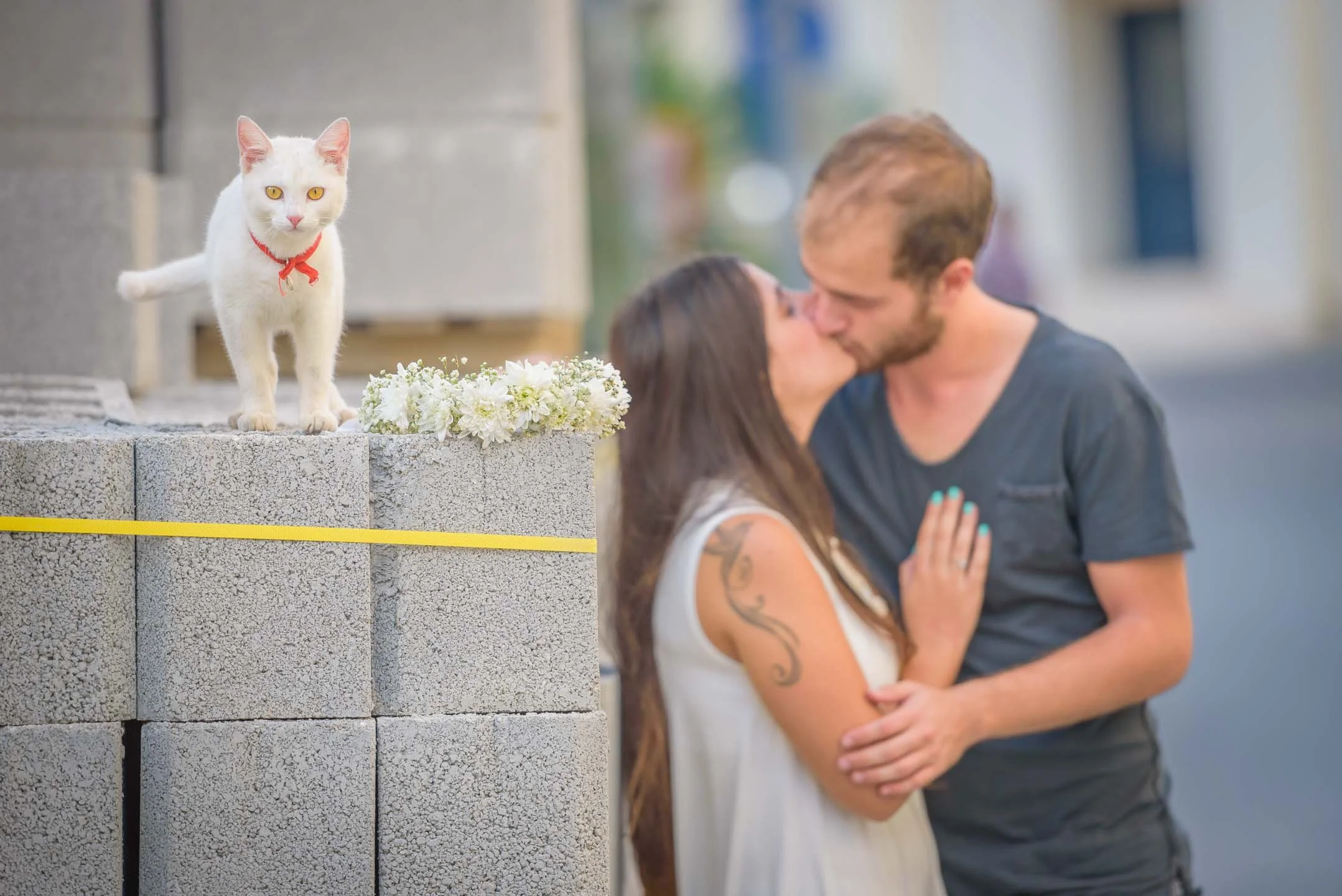 צילום זוגי רומנטי 0012.jpg