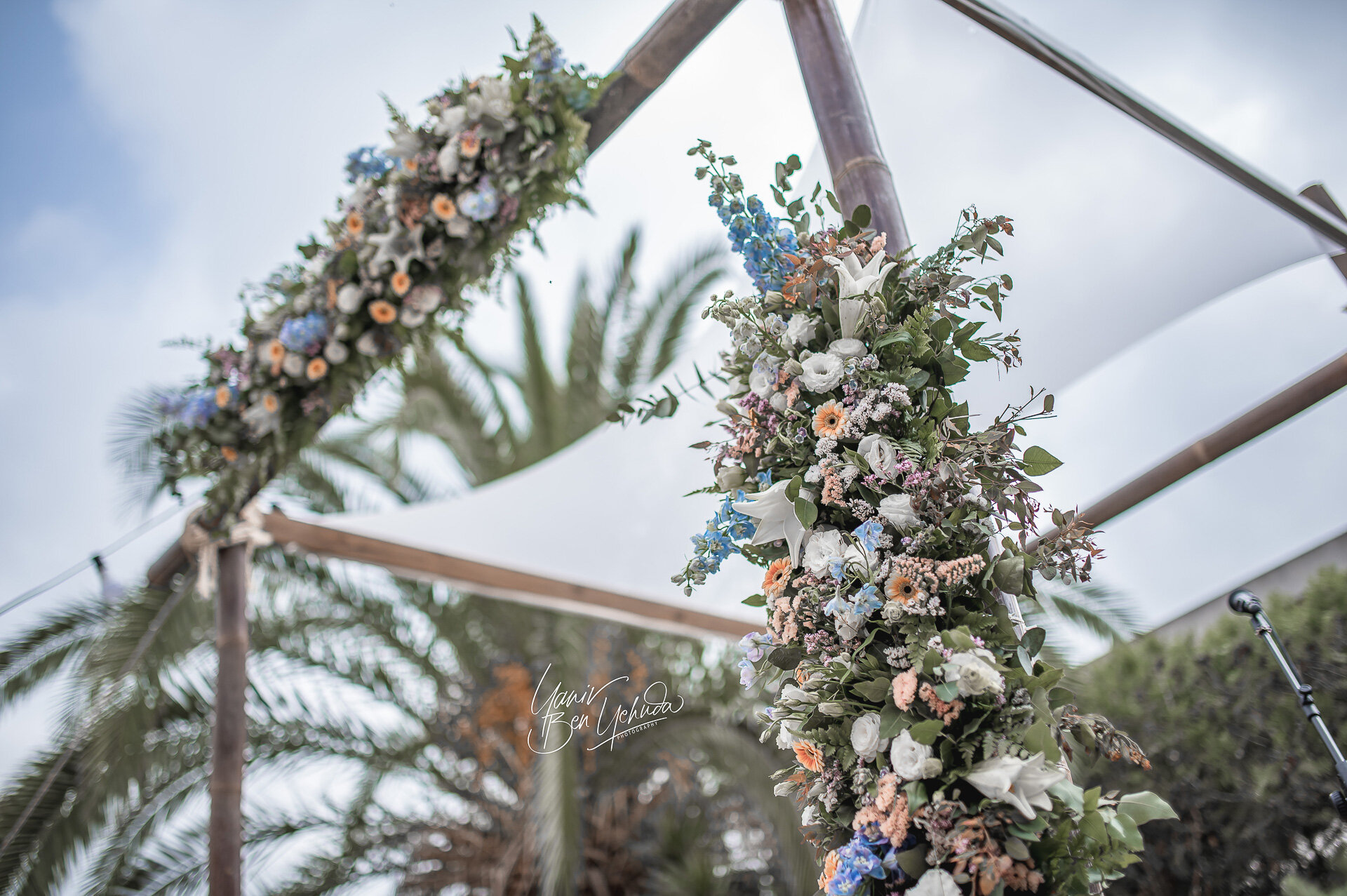 נעה ועמיאל-0001.jpg