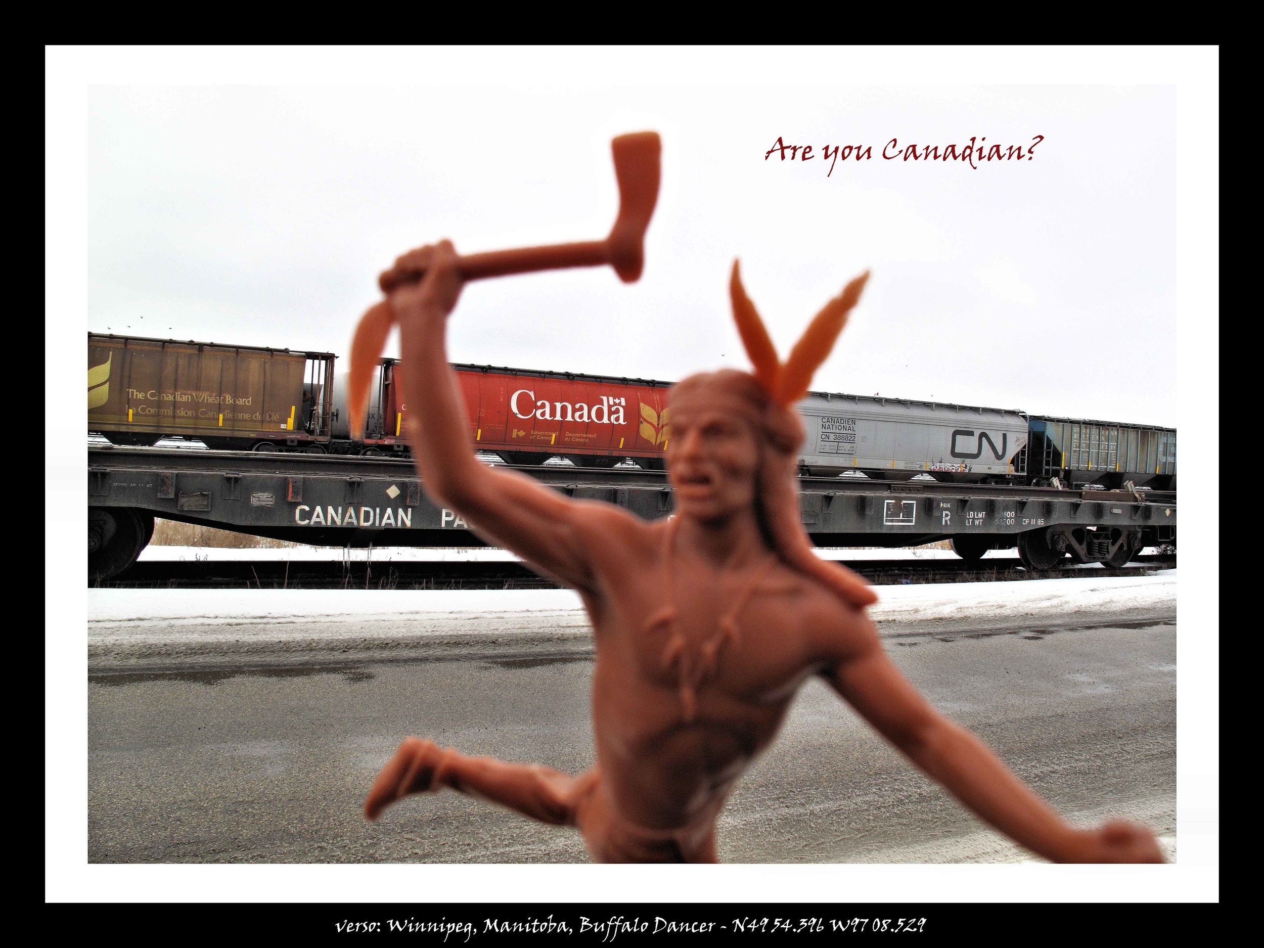 13. Winnipeg, Manitoba, Higgins Street, Buffalo Dancer, 2012 .jpg