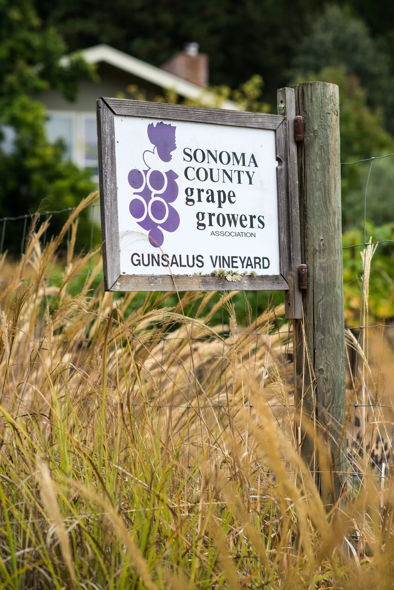 20140829-_DSC1390.jpg