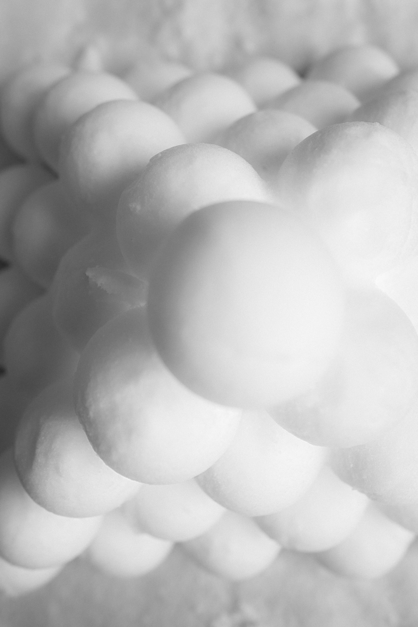 Snowball fight anyone?