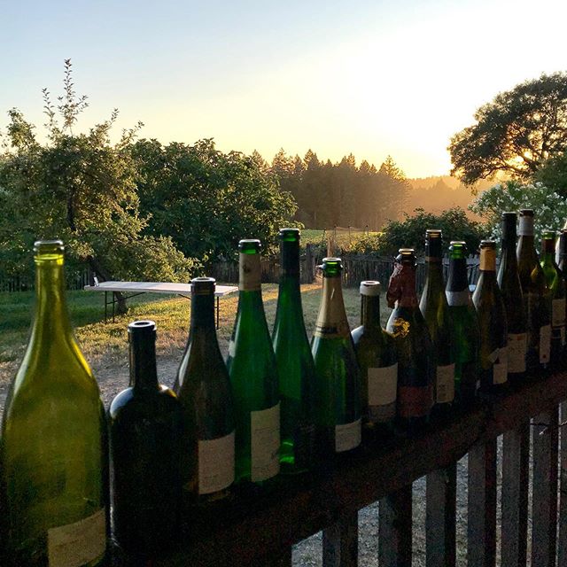 And tonight wraps another beautiful moment at Farm Camp. Thank you @ernestvineyards and @westsonomacoast for inviting me again.  Stay tuned for my favorite moments.  #pinotnoir #chardonnay #meteorshower #milkyway #tequila #mary #mezcal #scoobydooadve