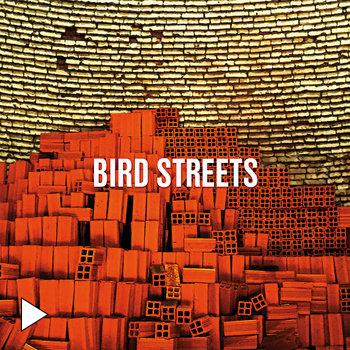 Bird Streets - Spaceship: Guitars