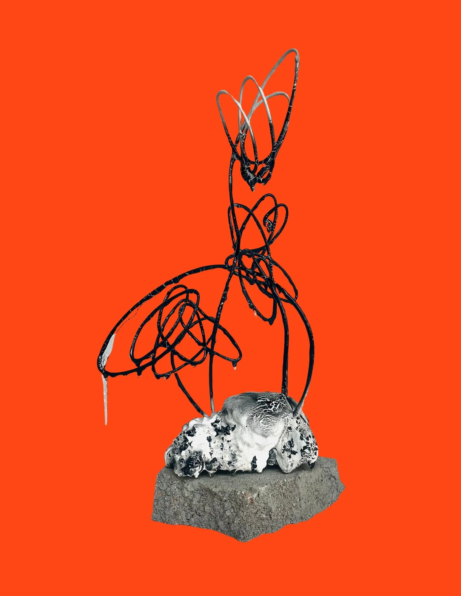 Cody York | Bloom Shadows