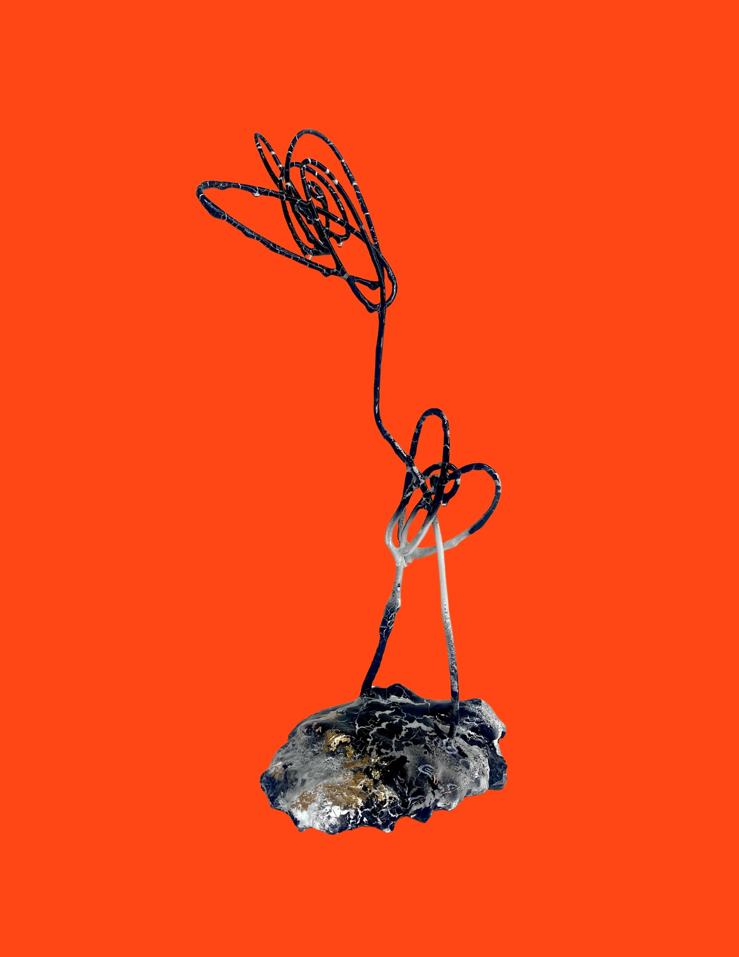 Cody York | Bloom Shadows