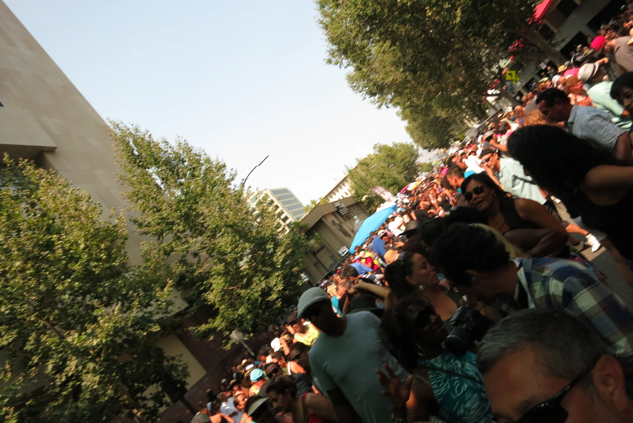 The crowd...