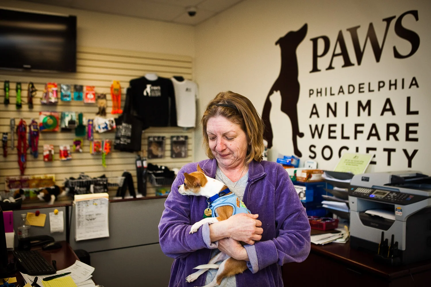 WideEyedStudiosEducationNonProfitBusinessHand2Paw-7.jpg