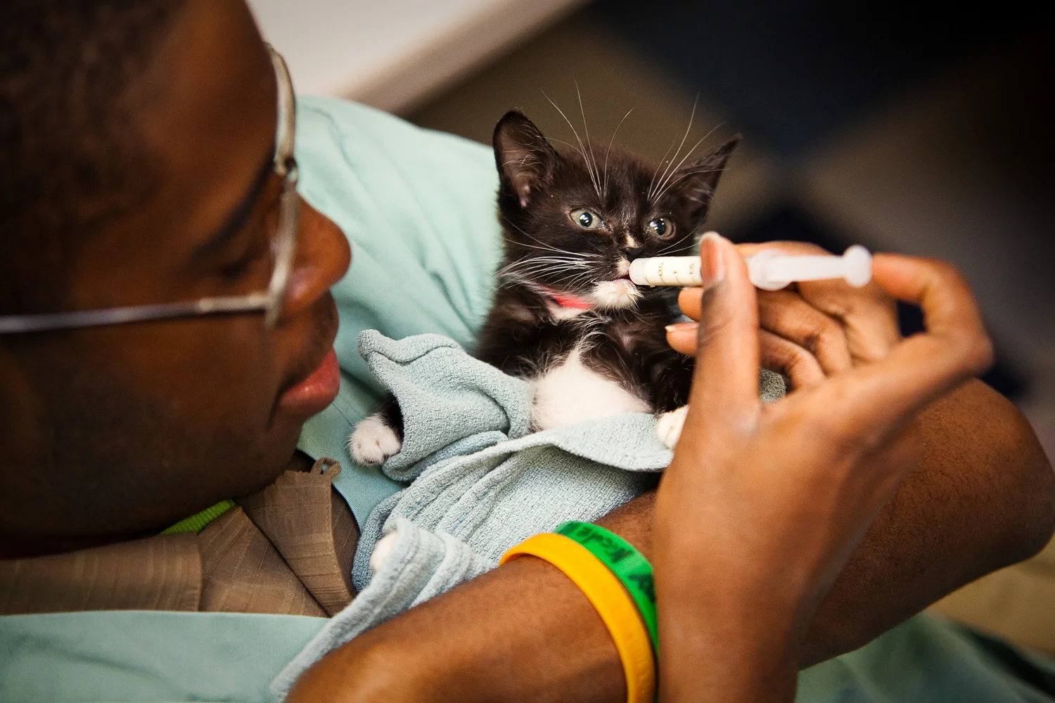 WideEyedStudiosEducationNonProfitBusinessHand2Paw-14.jpg